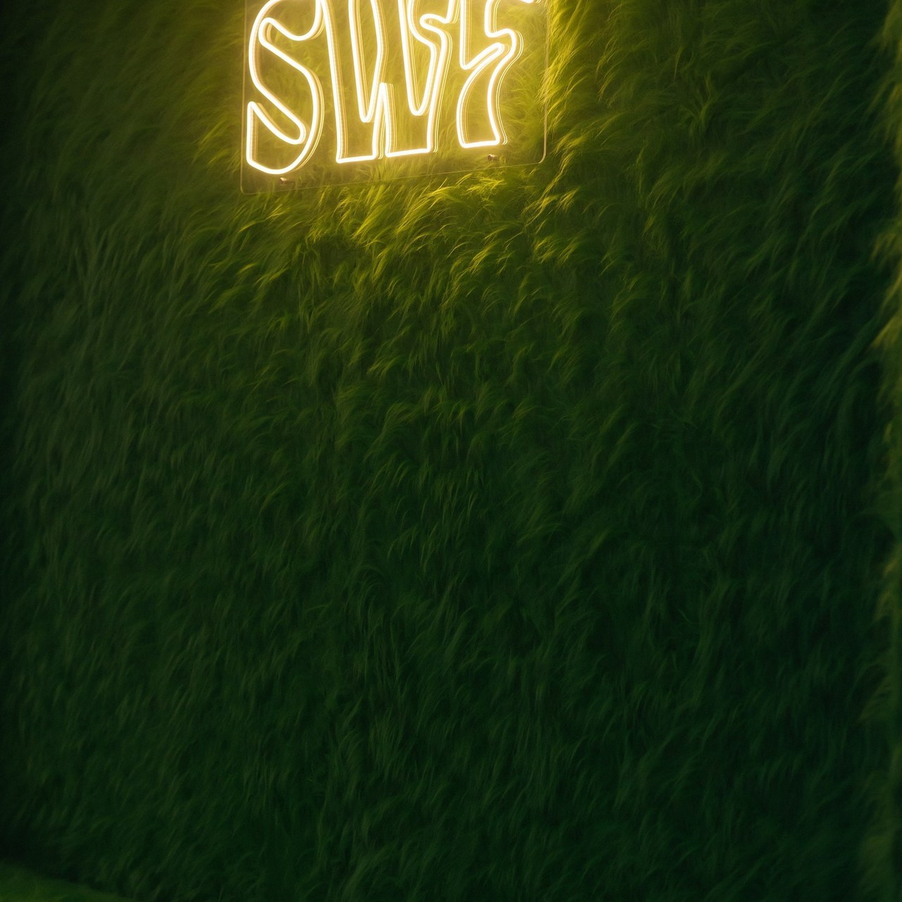 Отзывы. Свадебный фотограф в Красноярске