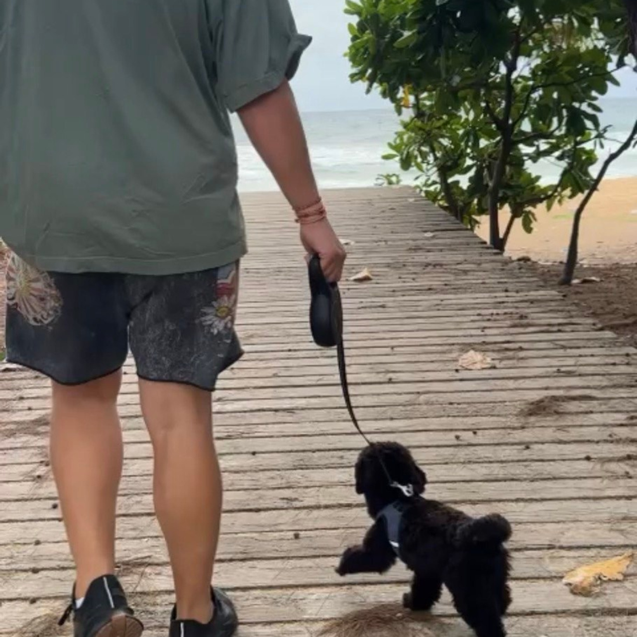 Выпускники