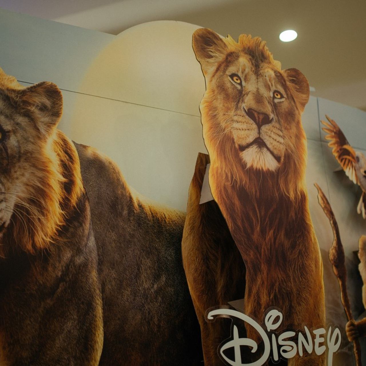 Отзывы. Коммерческий фотограф в Алматы