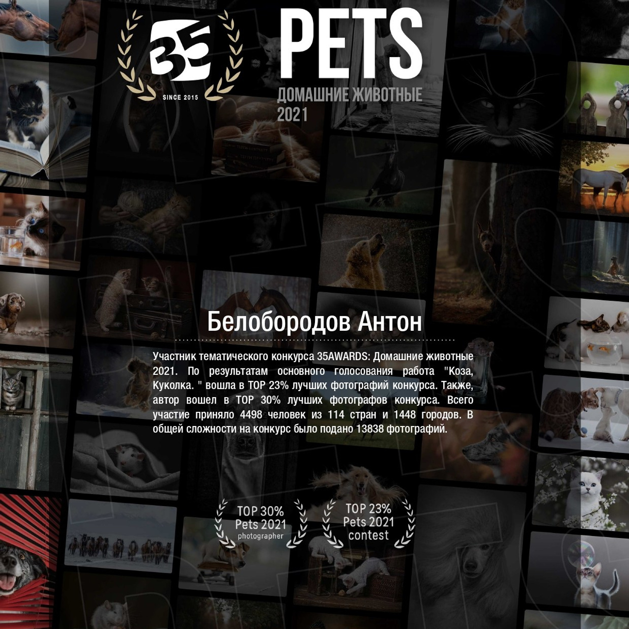 Фотоконкурсы. Студия фотографии «Антония Белобородова»