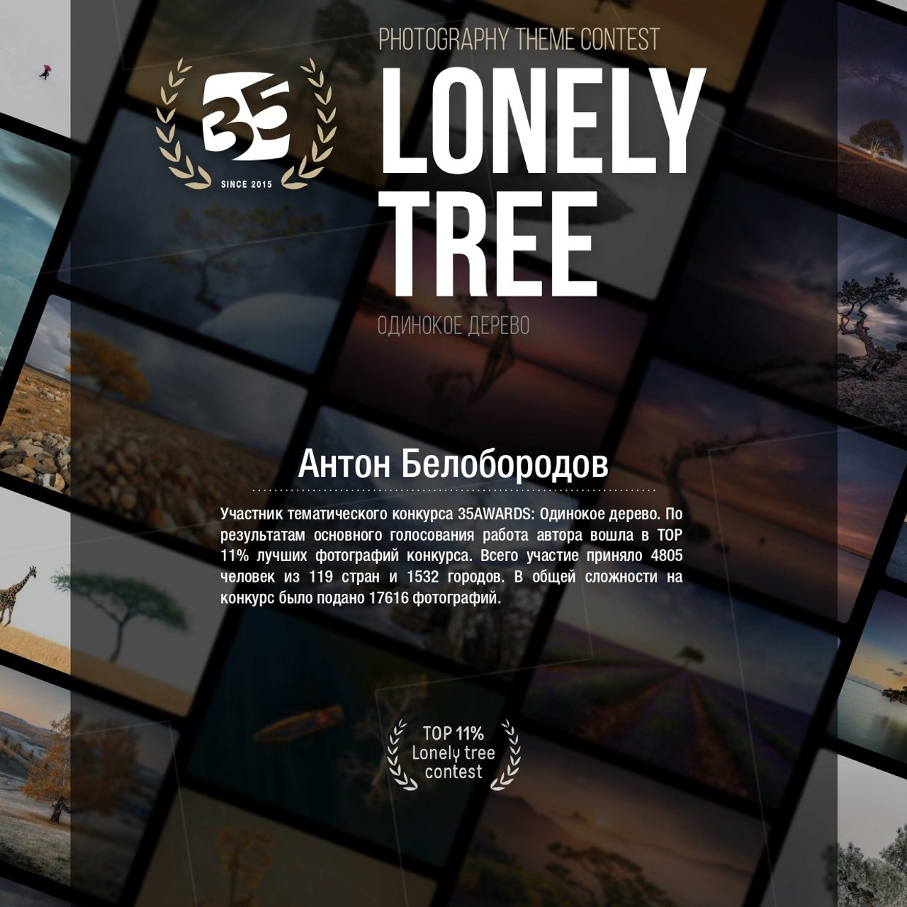 Фотоконкурсы. Студия фотографии «Антония Белобородова»