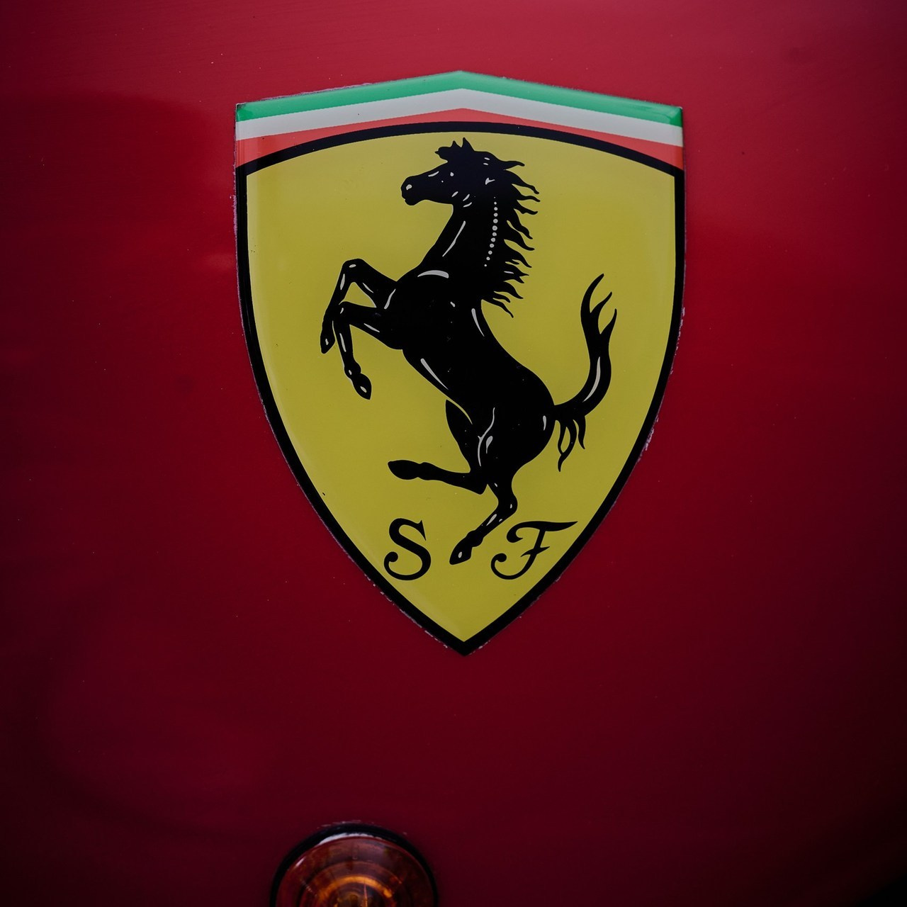 Отзывы. Фотограф Роман Адлер