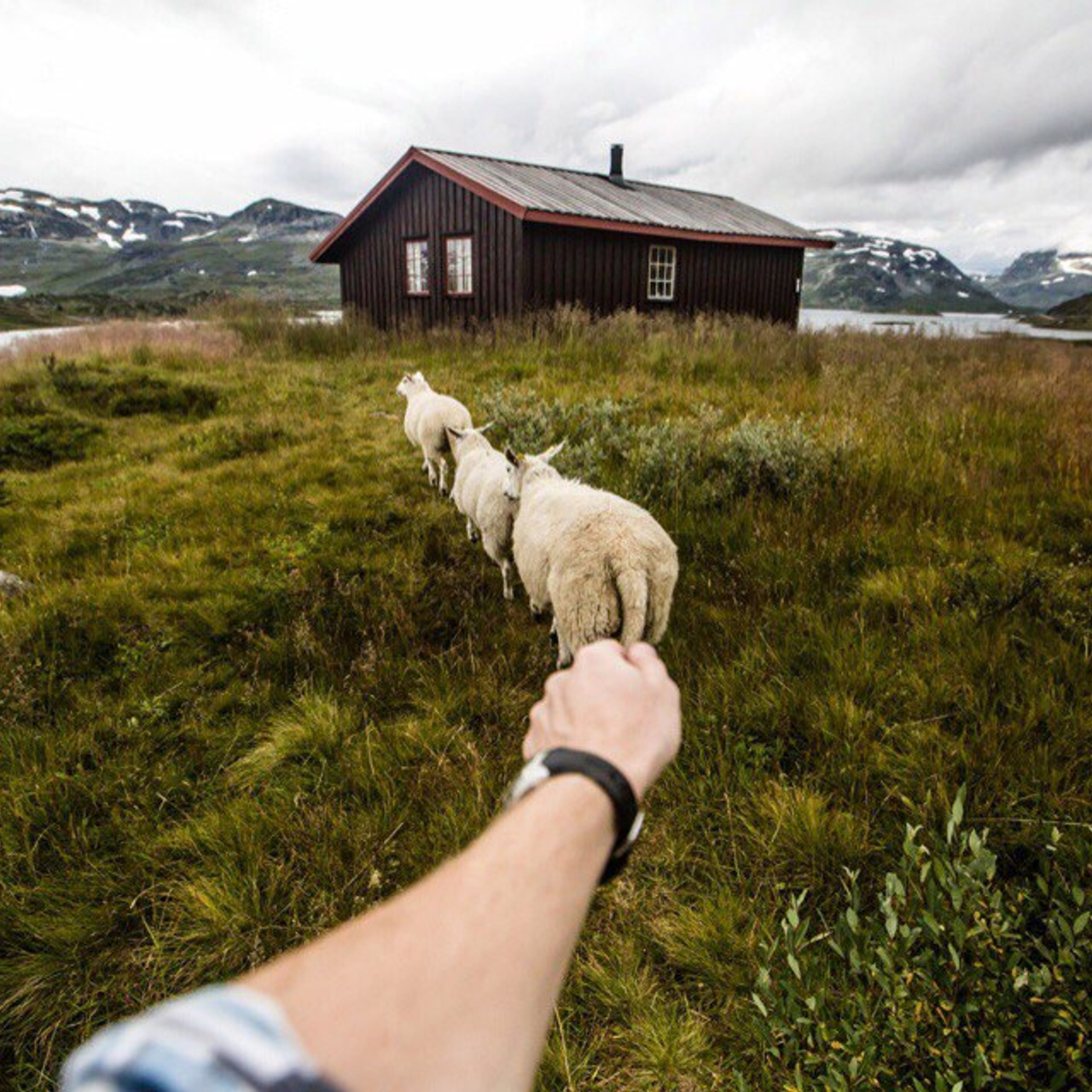 Фотограф Александр Ямпольский