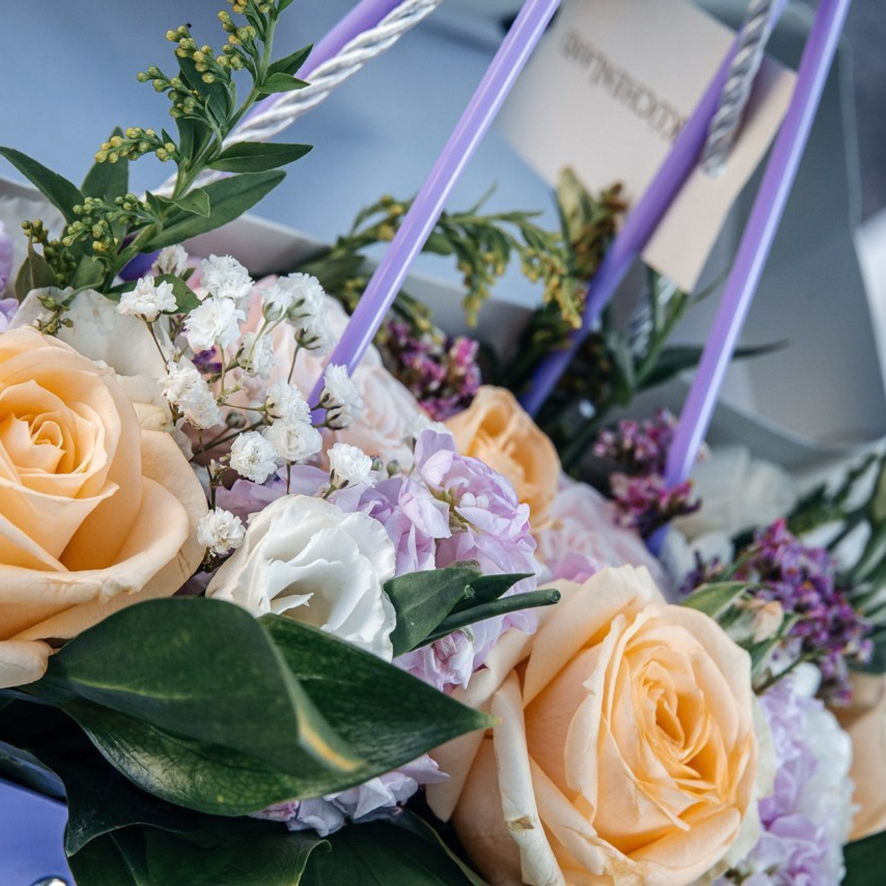 Отзывы. Фотограф Марина Никитина