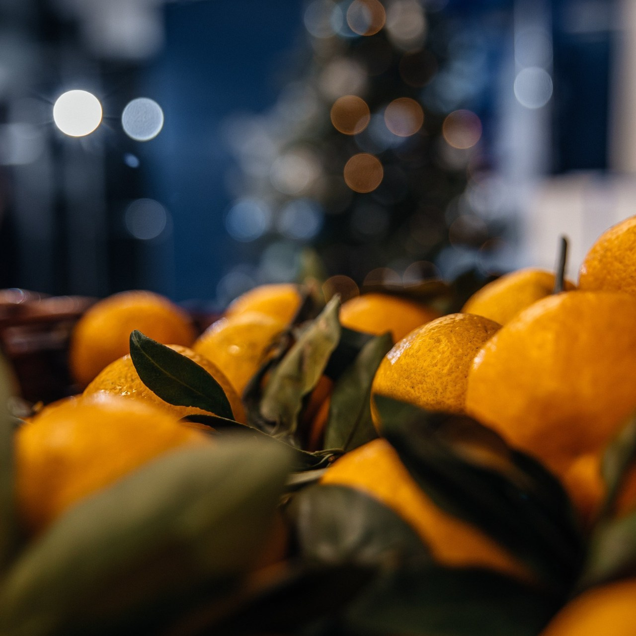 Отзывы. Фотограф Марина Никитина