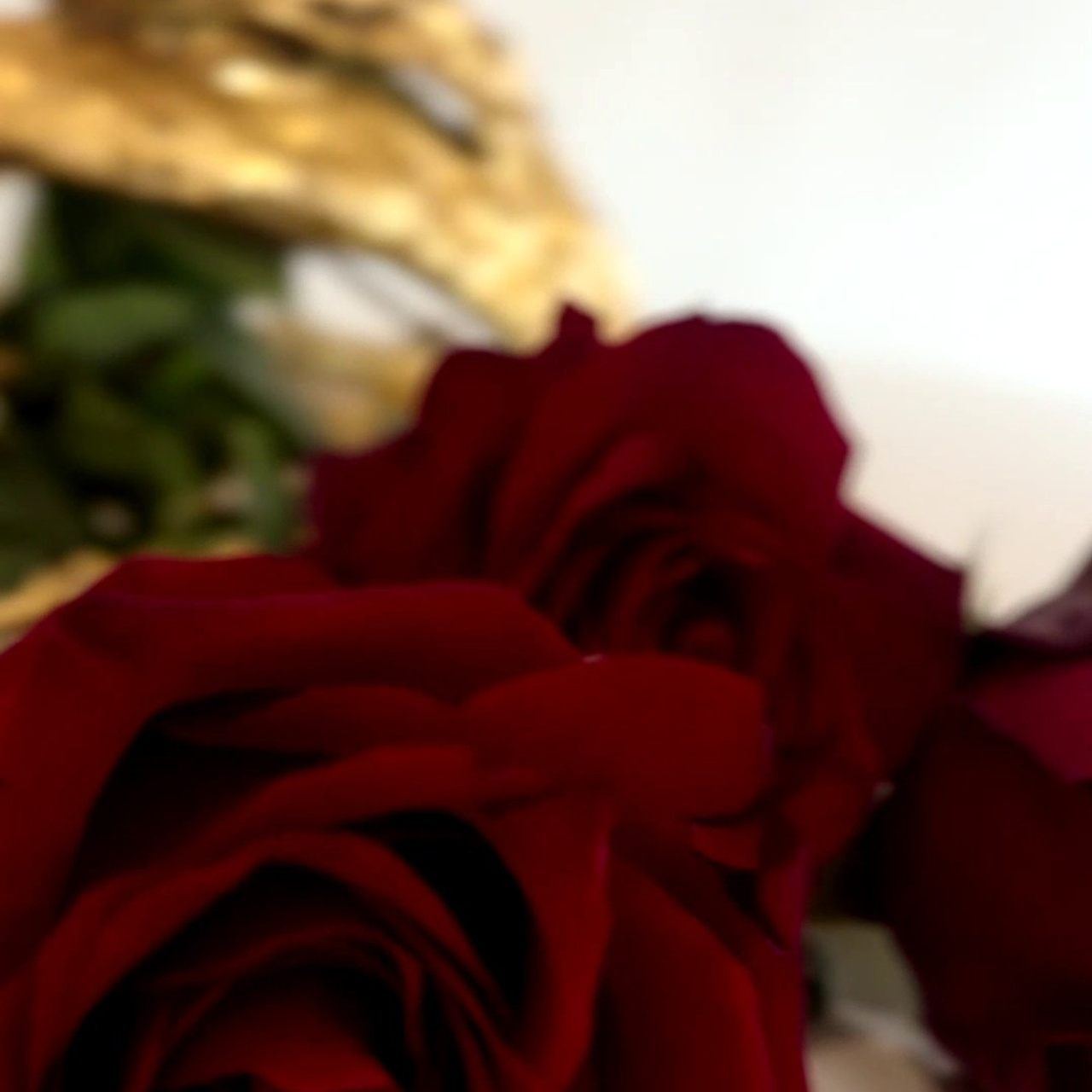 Отзывы. Фотограф Марина Никитина