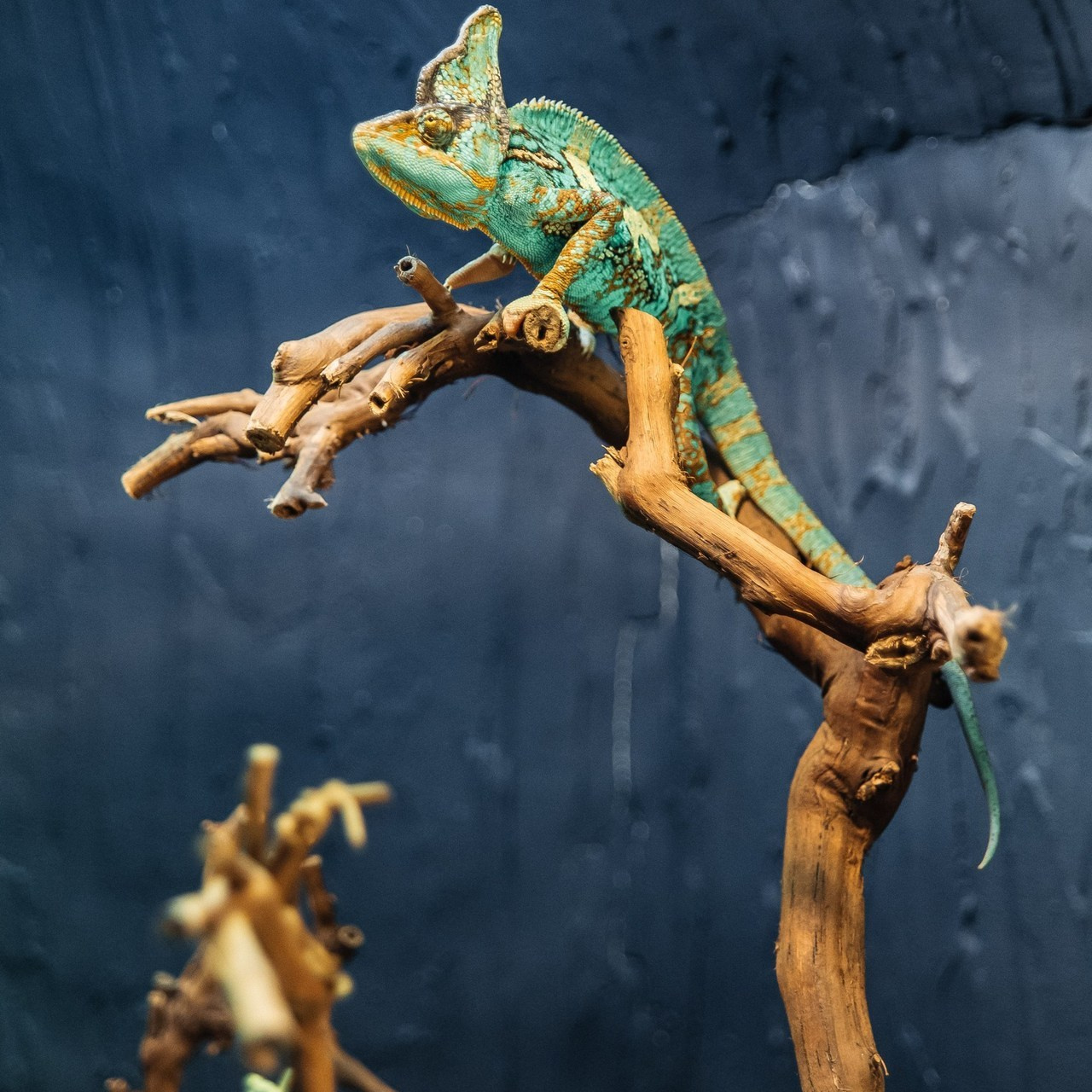 Отзывы. Фотограф Марина Никитина