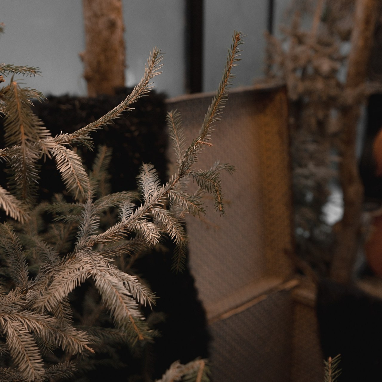 Отзывы. Negovora_allady