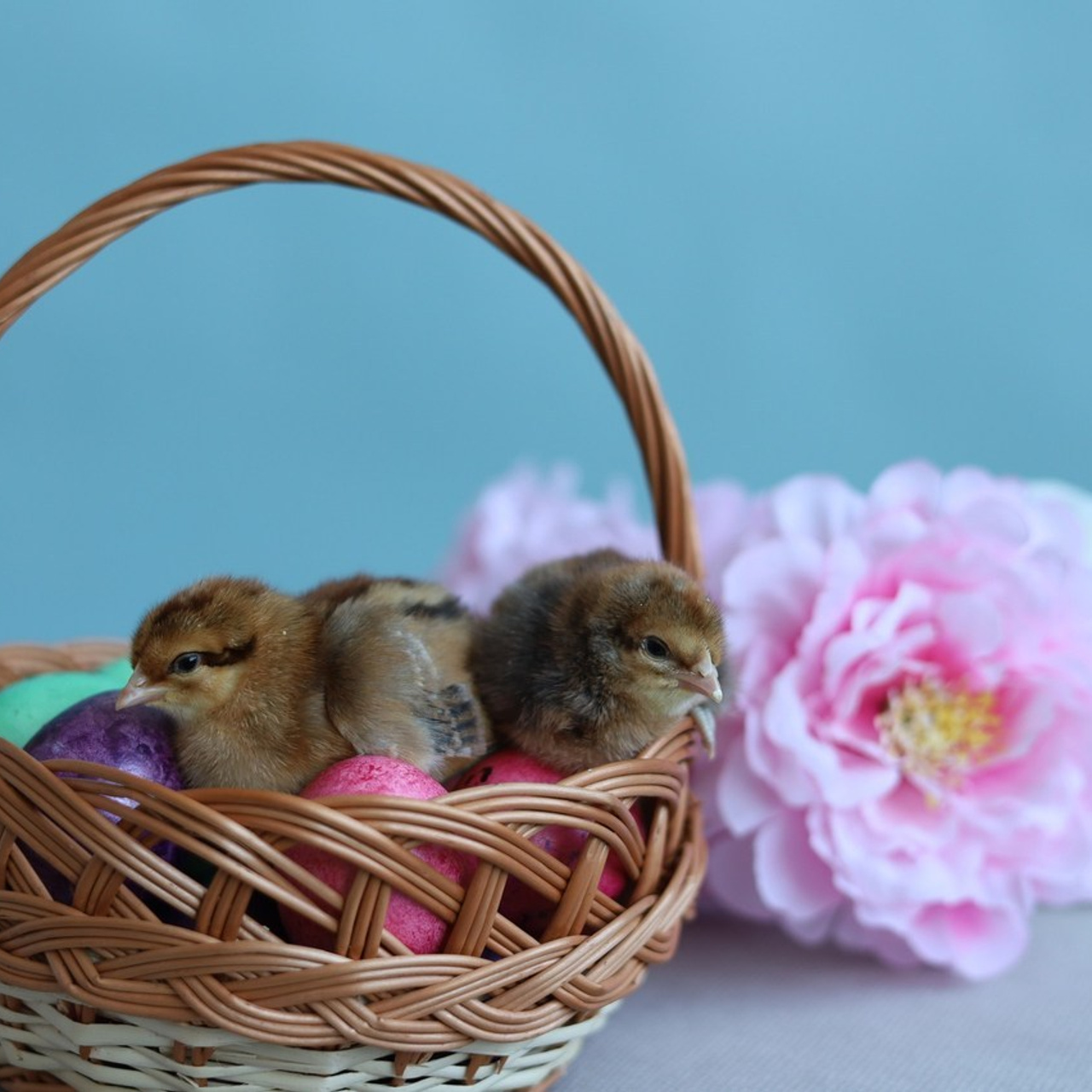 Отзывы. Семейный фотограф в Петрозаводске Екатерина Наперсткова