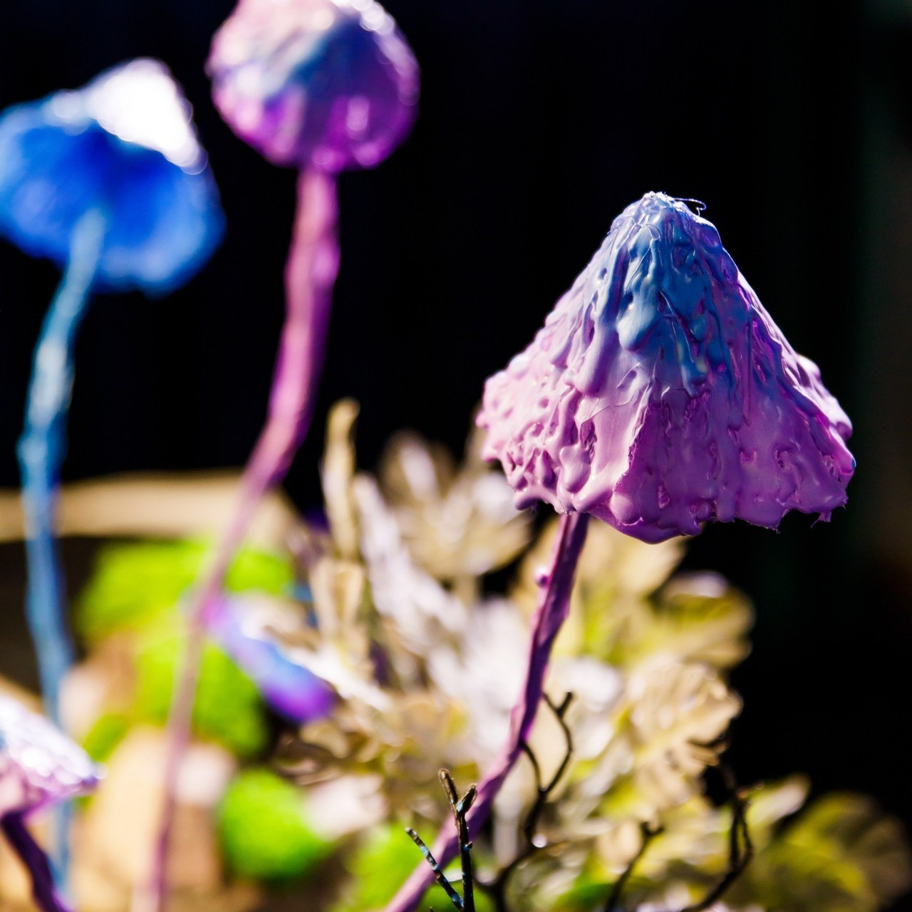 Отзывы. Фотограф в Полоцке Новополоцк Минск