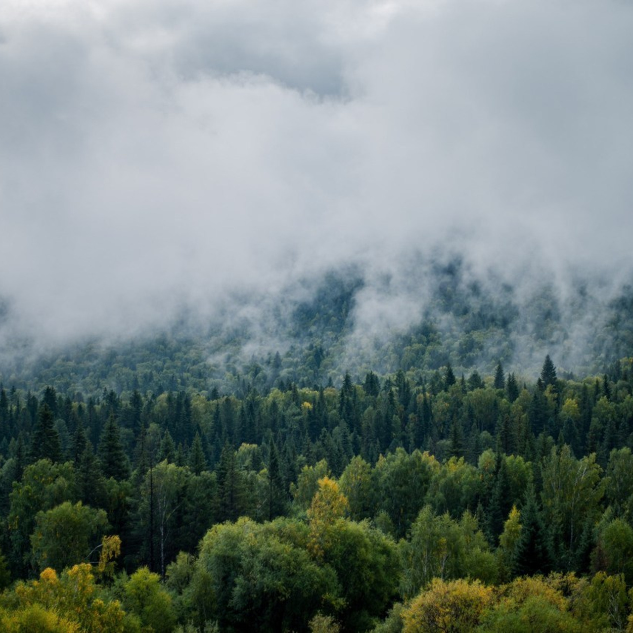 Профессиональный фотограф Ден Батуев. Отзывы