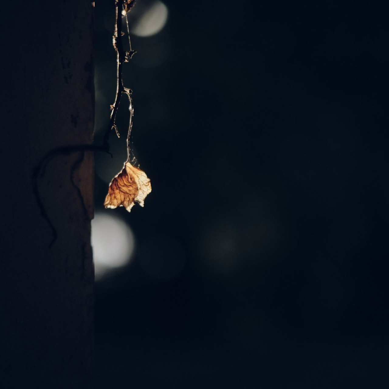 Профессиональный фотограф Ден Батуев. Отзывы