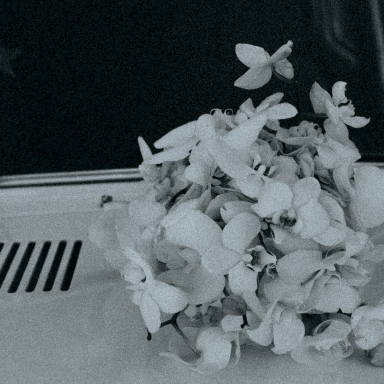 Отзывы. Фотограф в Белгороде Анастасия Веленгурская