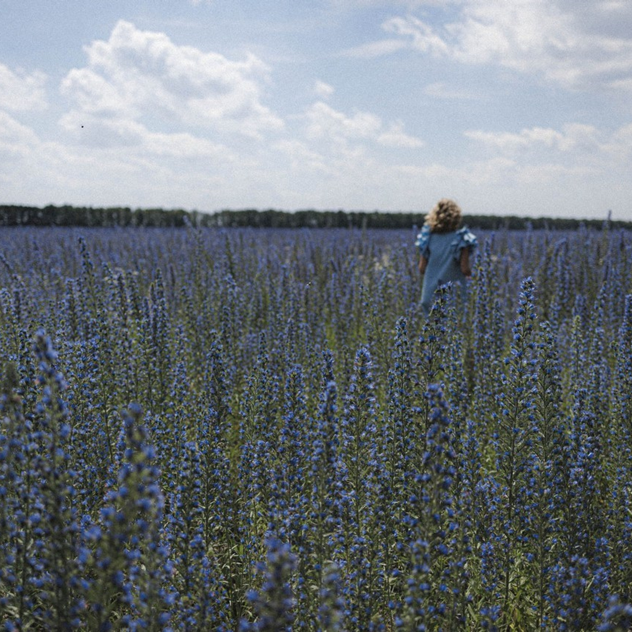 Отзывы. Коммерческий фотограф