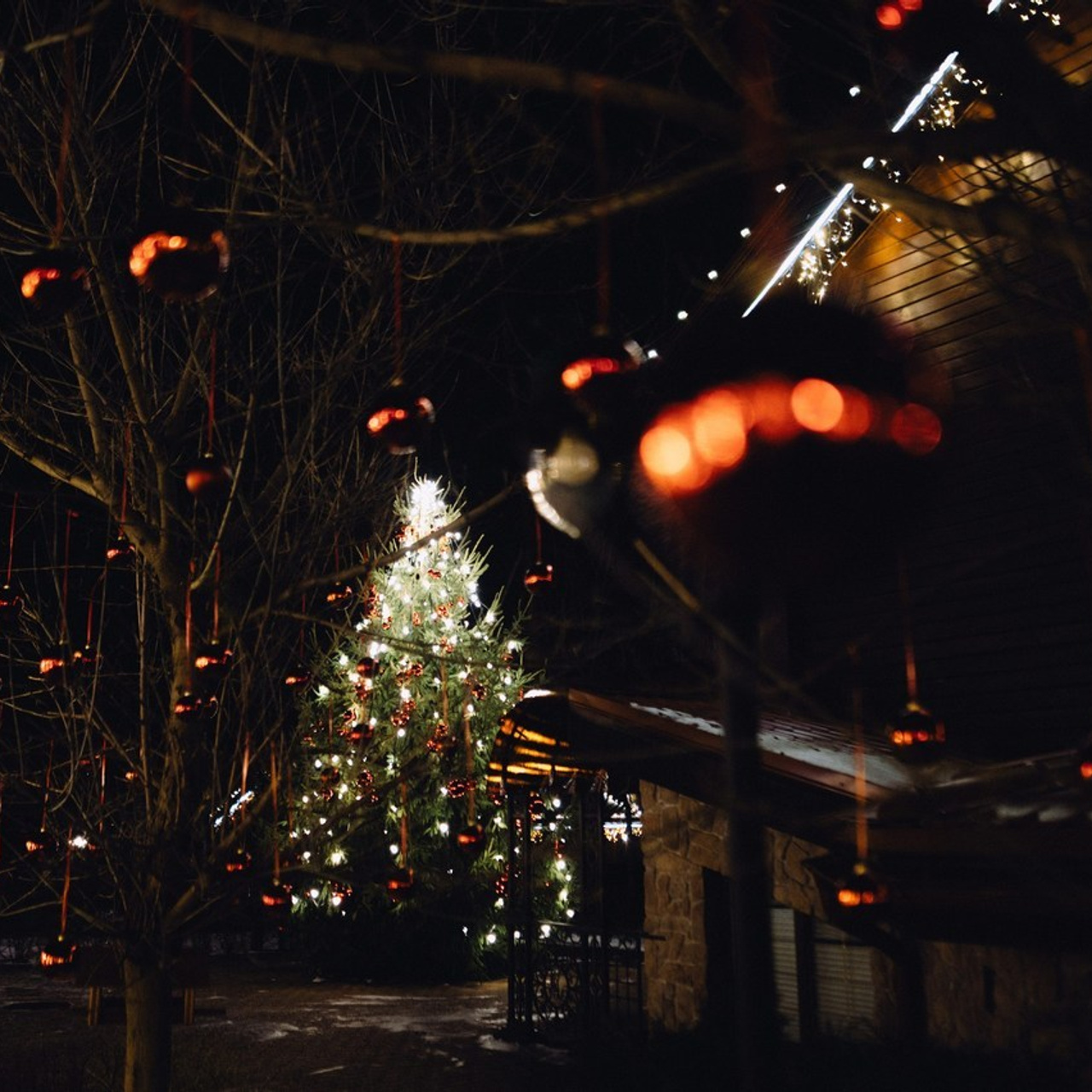 Фотограф Спб. Профессиональный фотограф Алексей Васенцев. Минск, СПБ, Москва