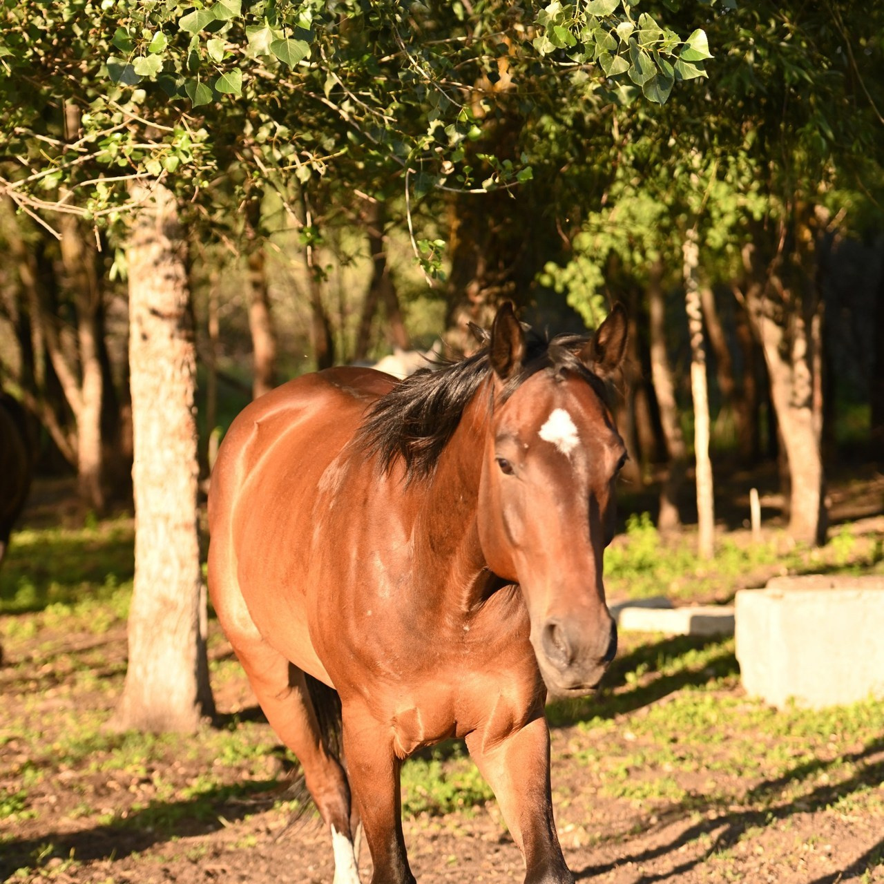Отзывы. Свадебный и семейный фотограф в Самаре Головань Наталья