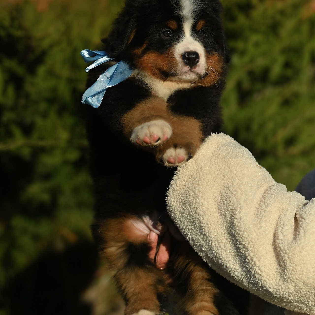 Отзывы. Свадебный и семейный фотограф в Самаре Головань Наталья
