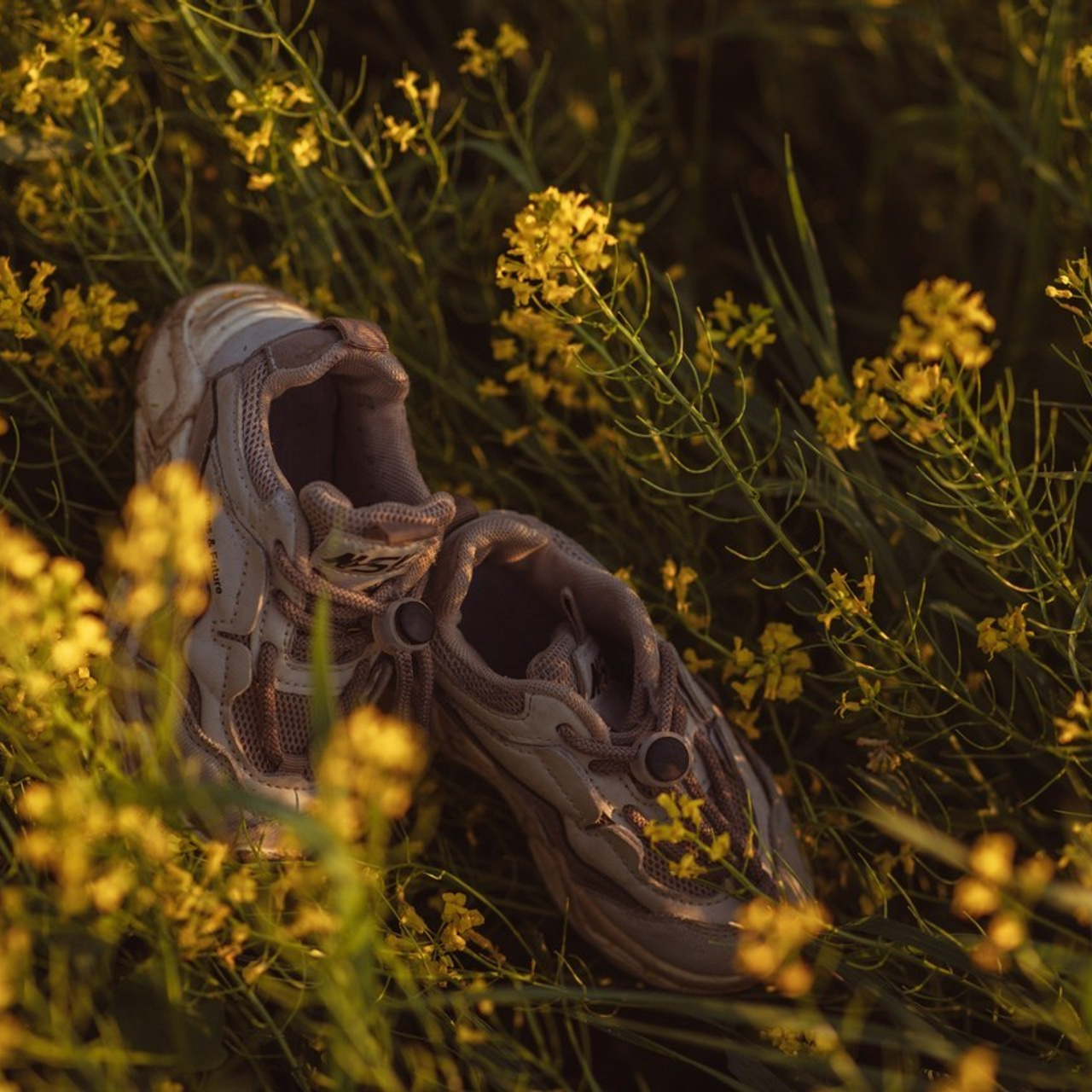 Отзывы. Фотограф в Санкт-Петербурге Степанская Юлия