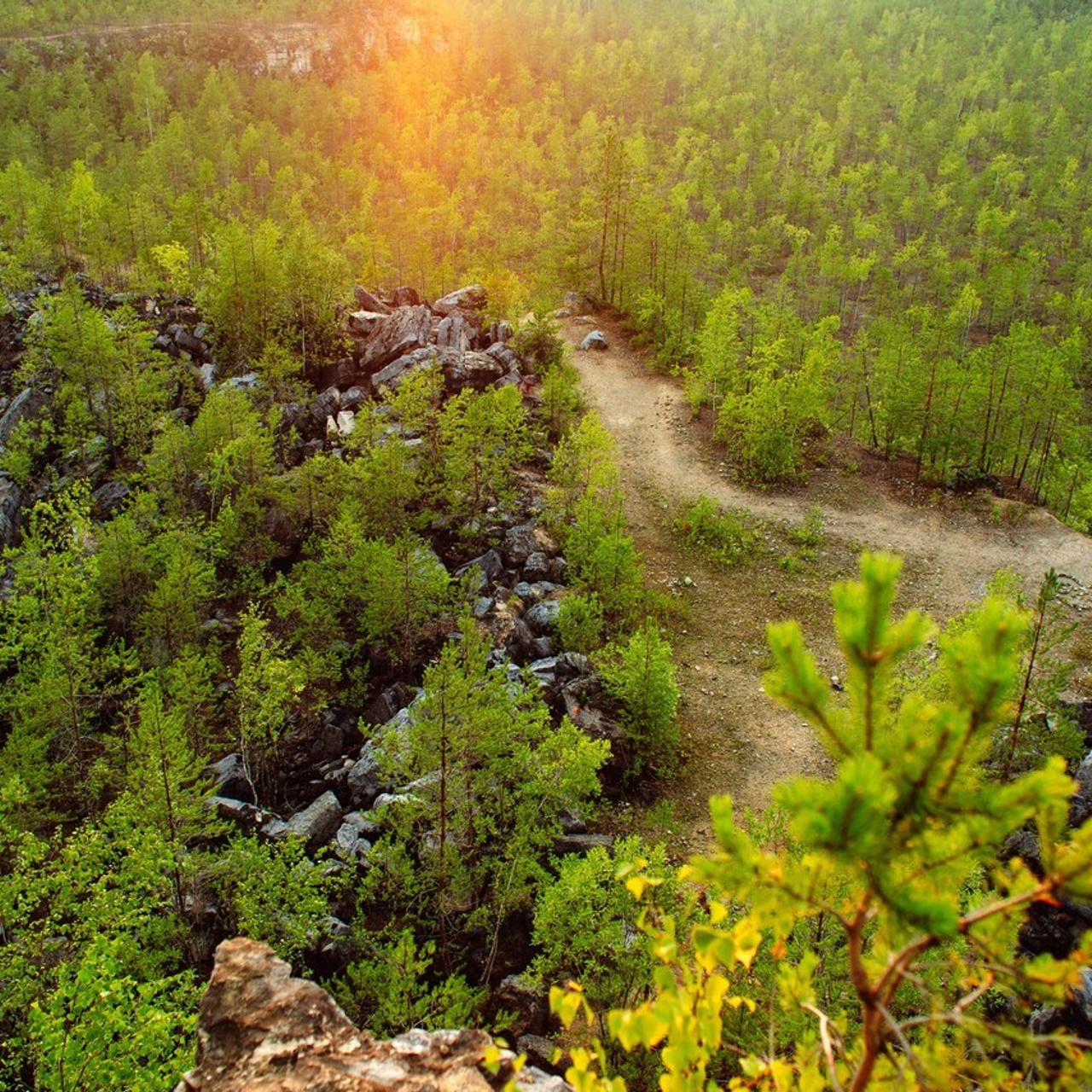 Отзывы. Фотограф в Нижнем Новгороде Александр Хамов