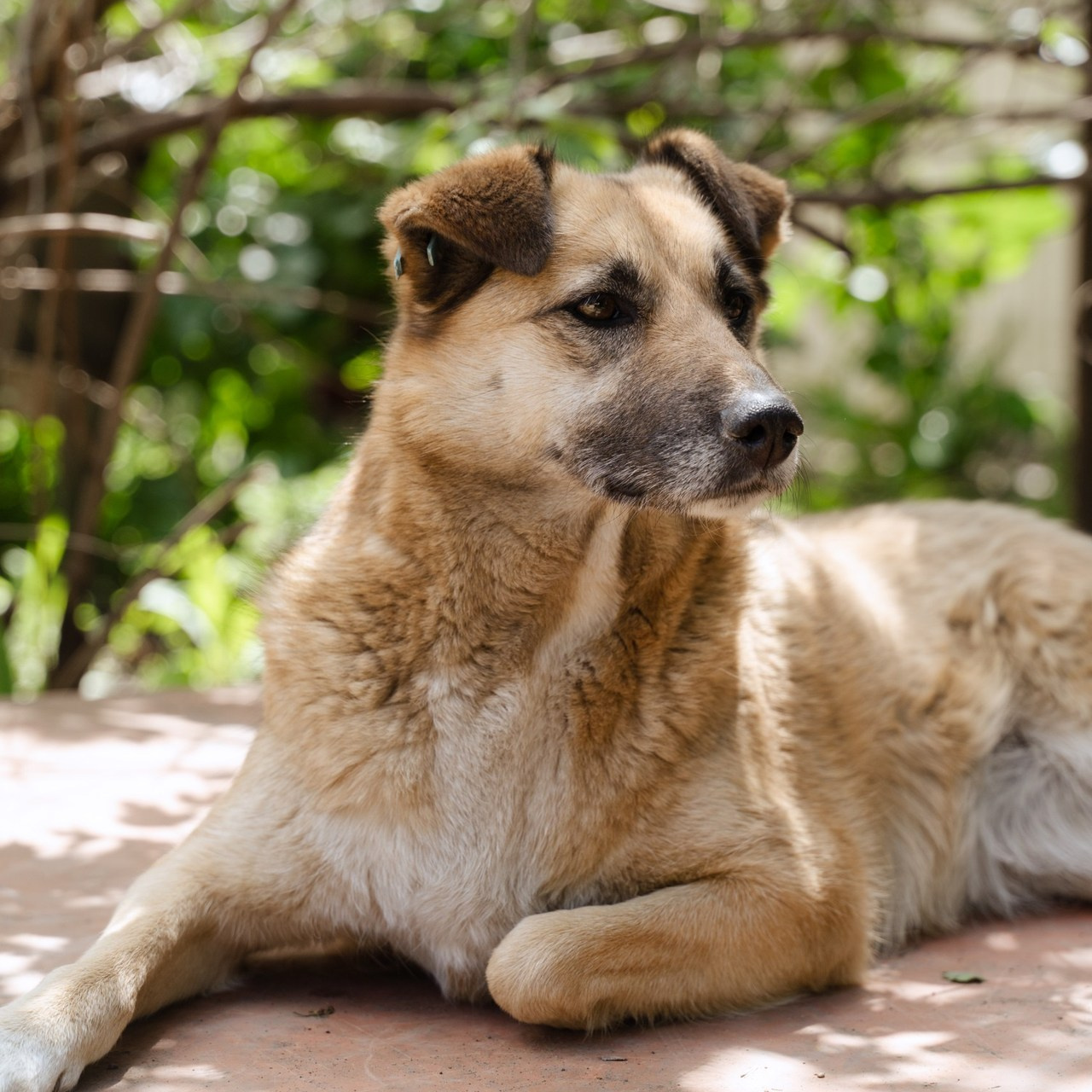 Feedback. Портретный фотограф в Краснодаре Валерия Матирная