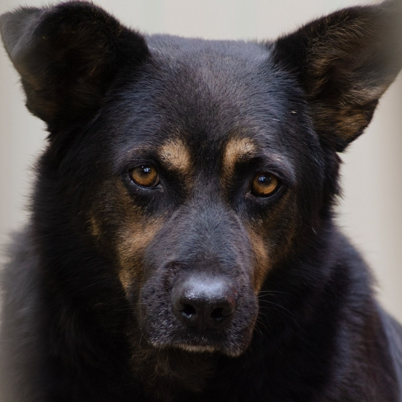 Feedback. Портретный фотограф в Краснодаре Валерия Матирная