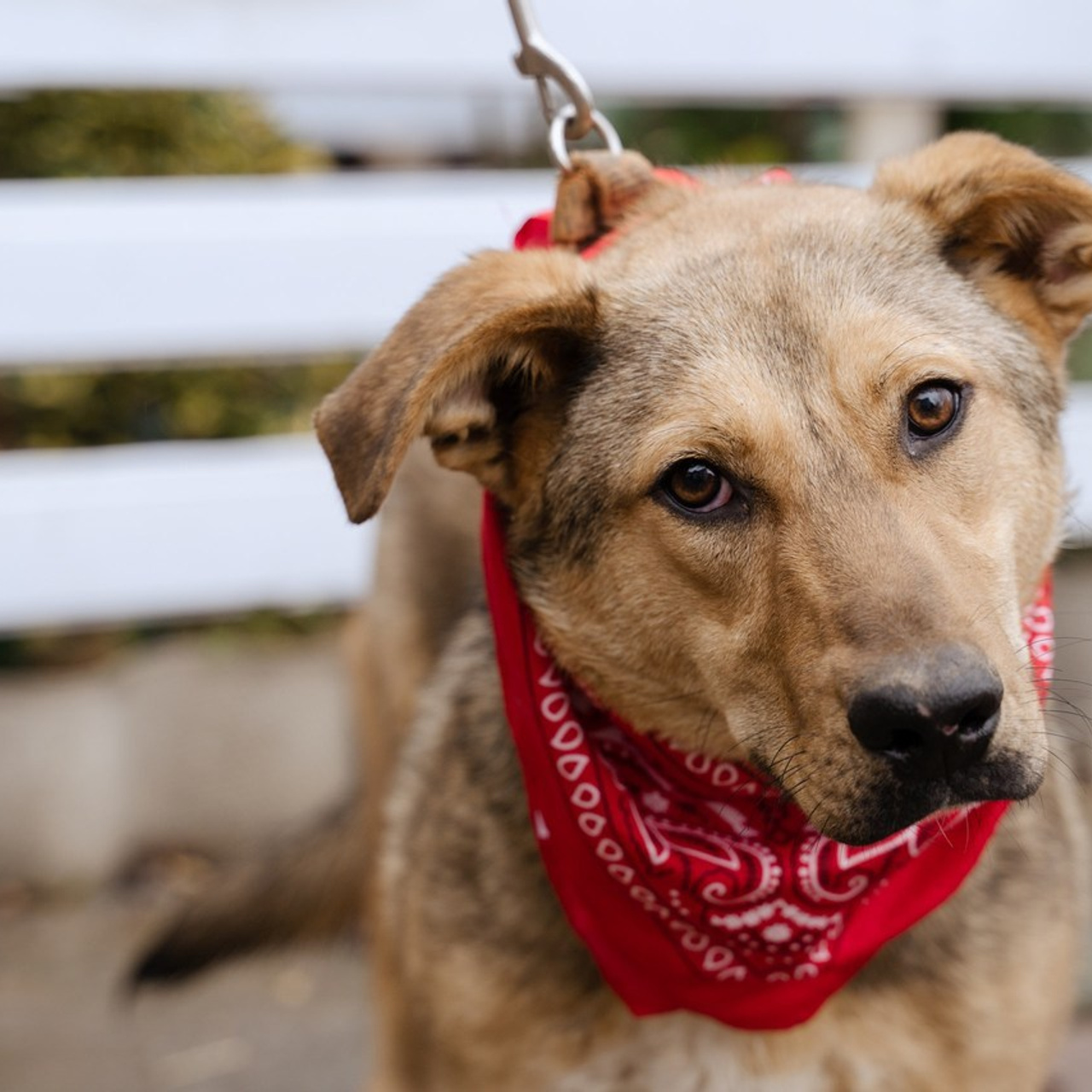 Feedback. Портретный фотограф в Краснодаре Валерия Матирная