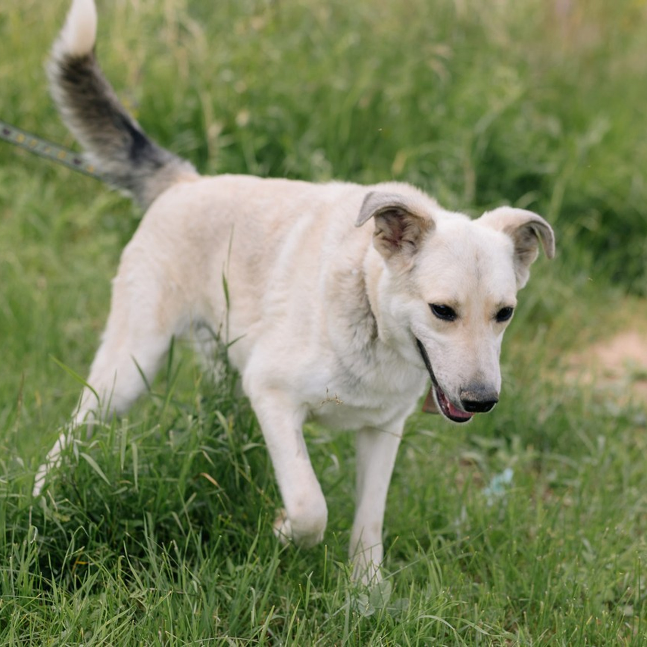 Отзывы. Фотостудия «Счастье» г. Обнинск