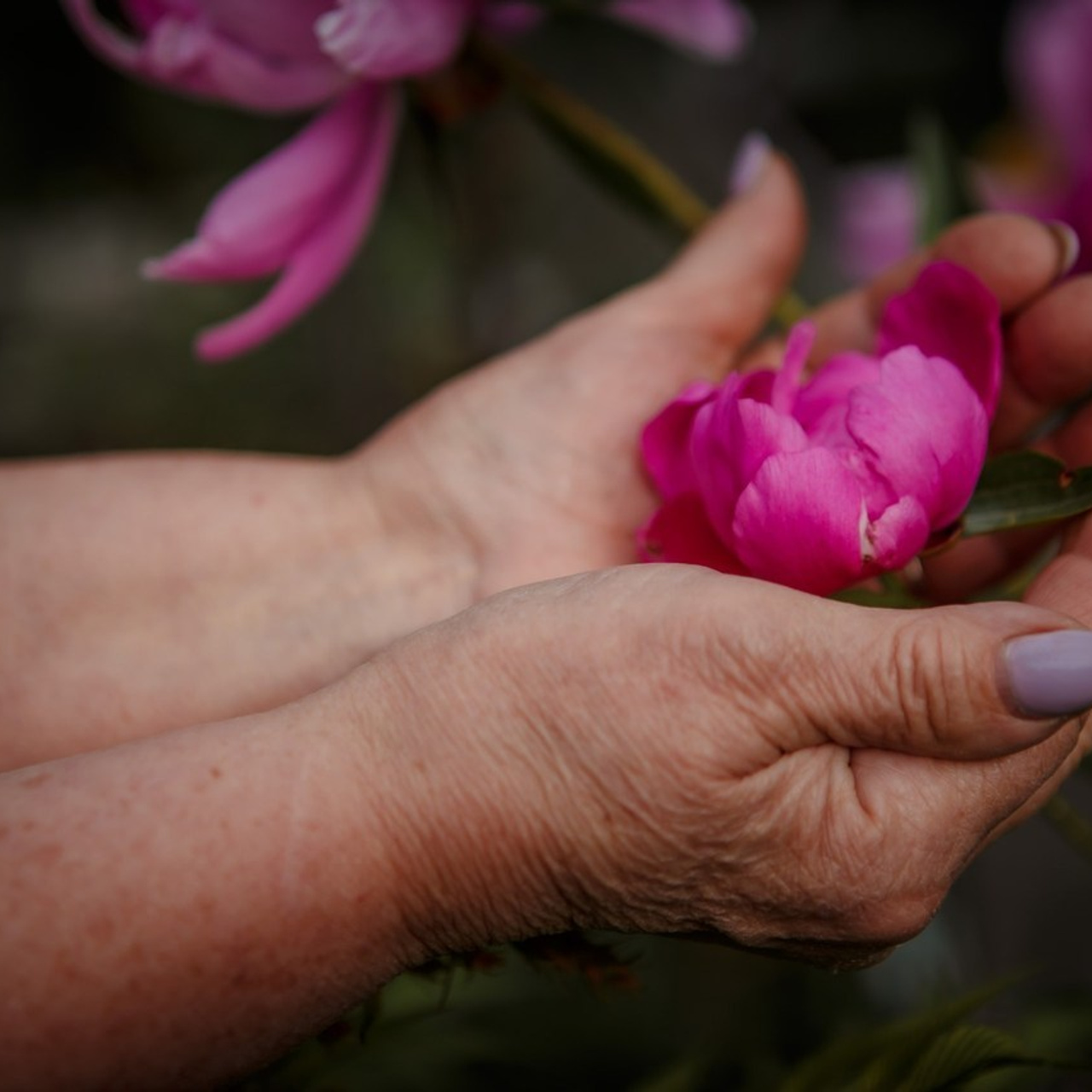 Оставить отзыв