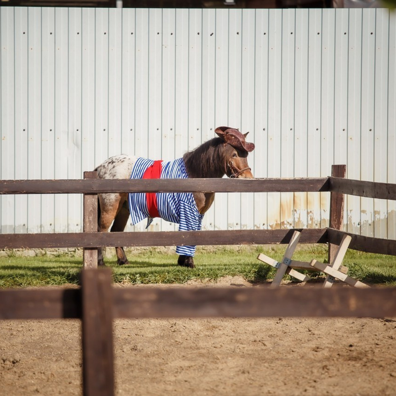 Оставить отзыв