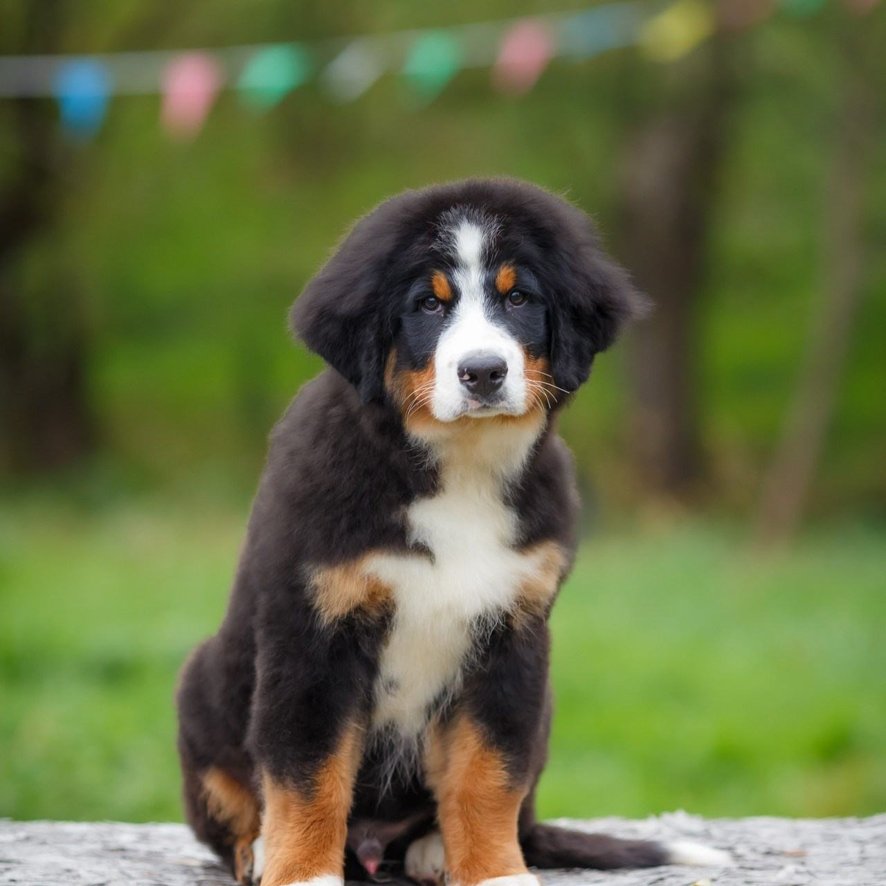 Оставить отзыв