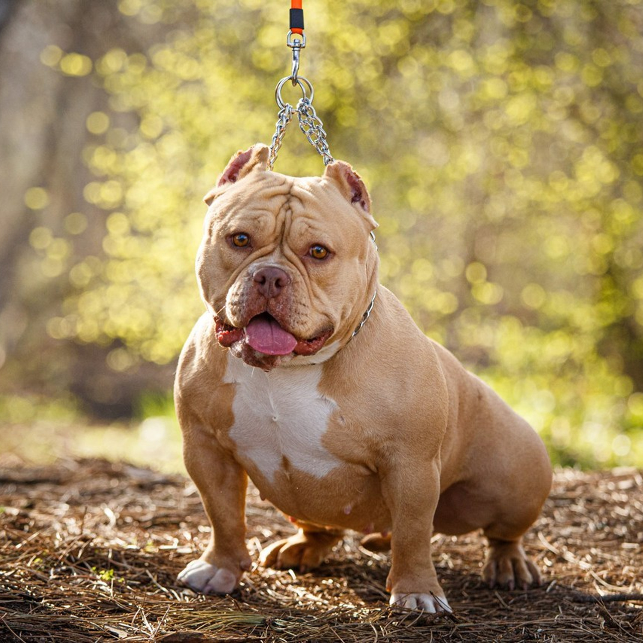 Оставить отзыв