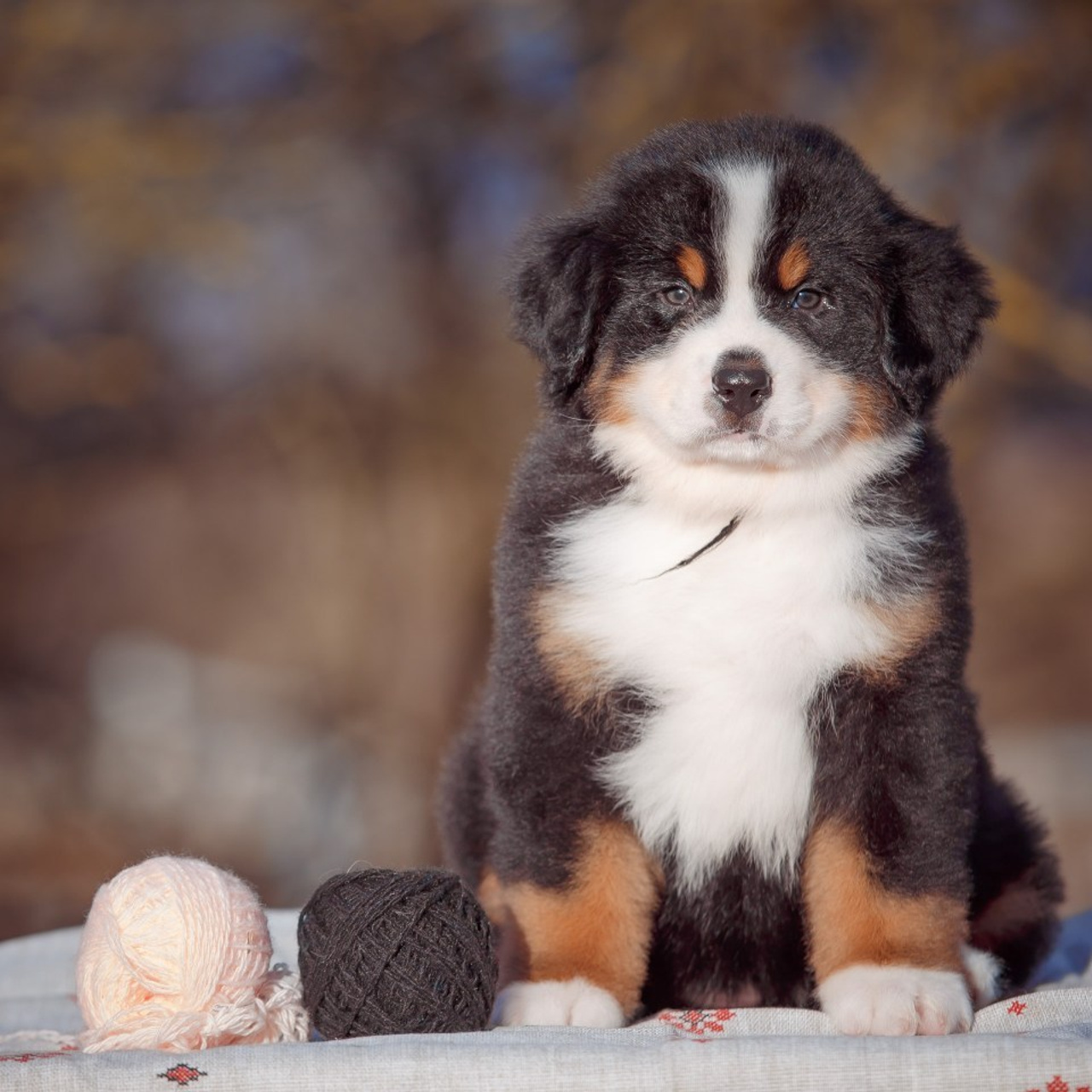 Оставить отзыв