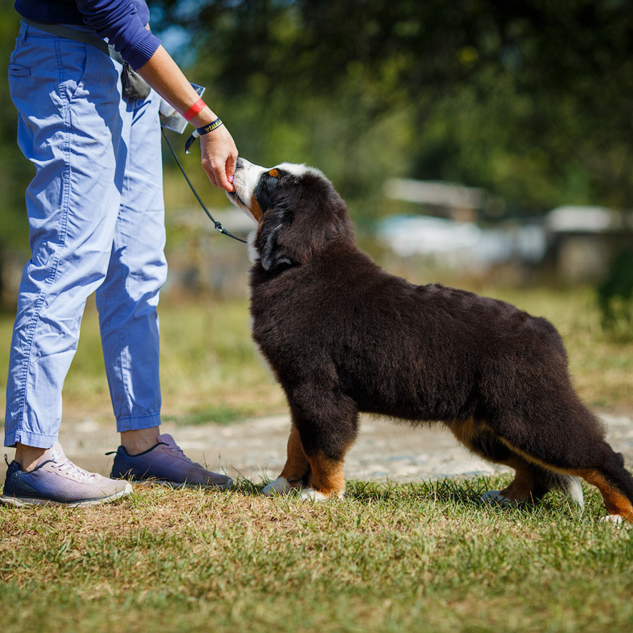 Оставить отзыв