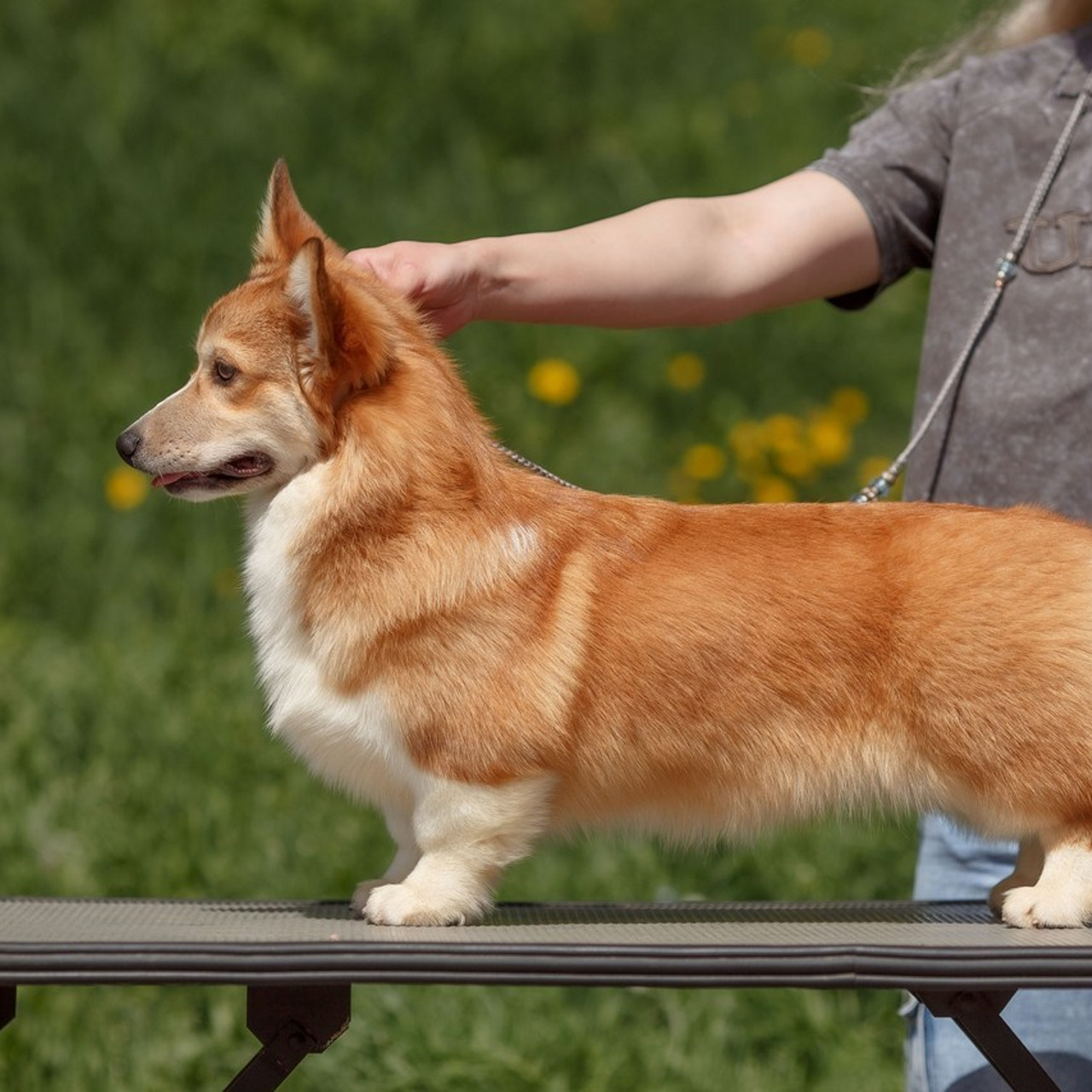 Оставить отзыв