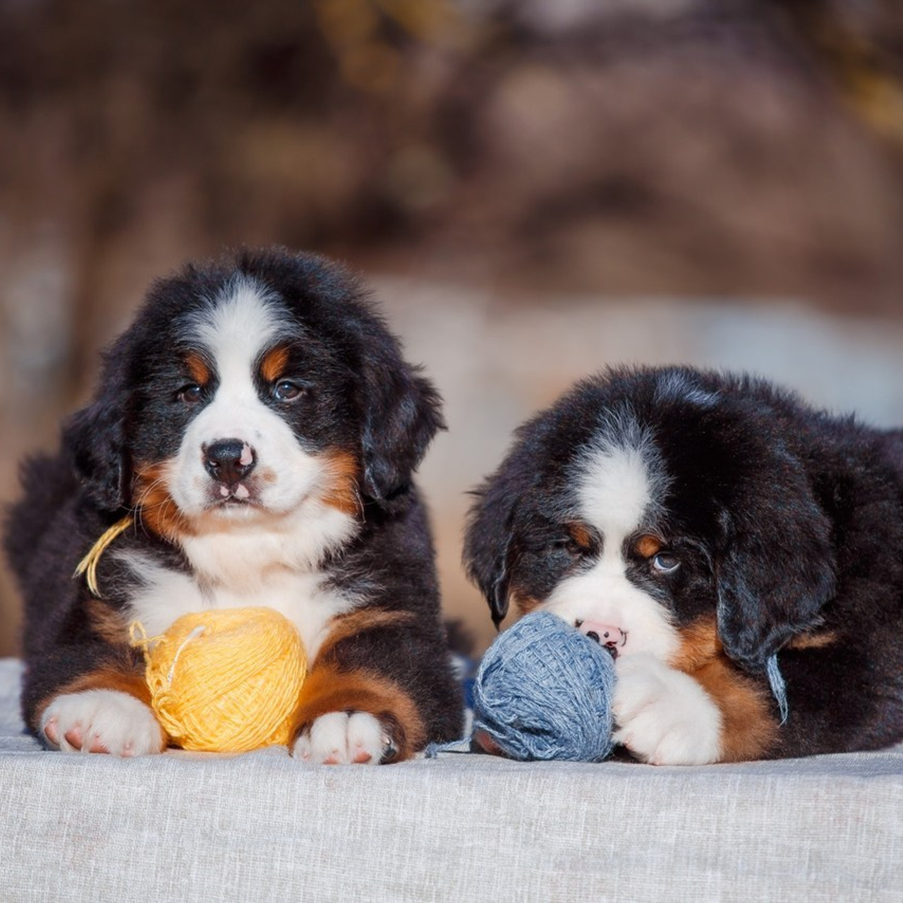 Оставить отзыв