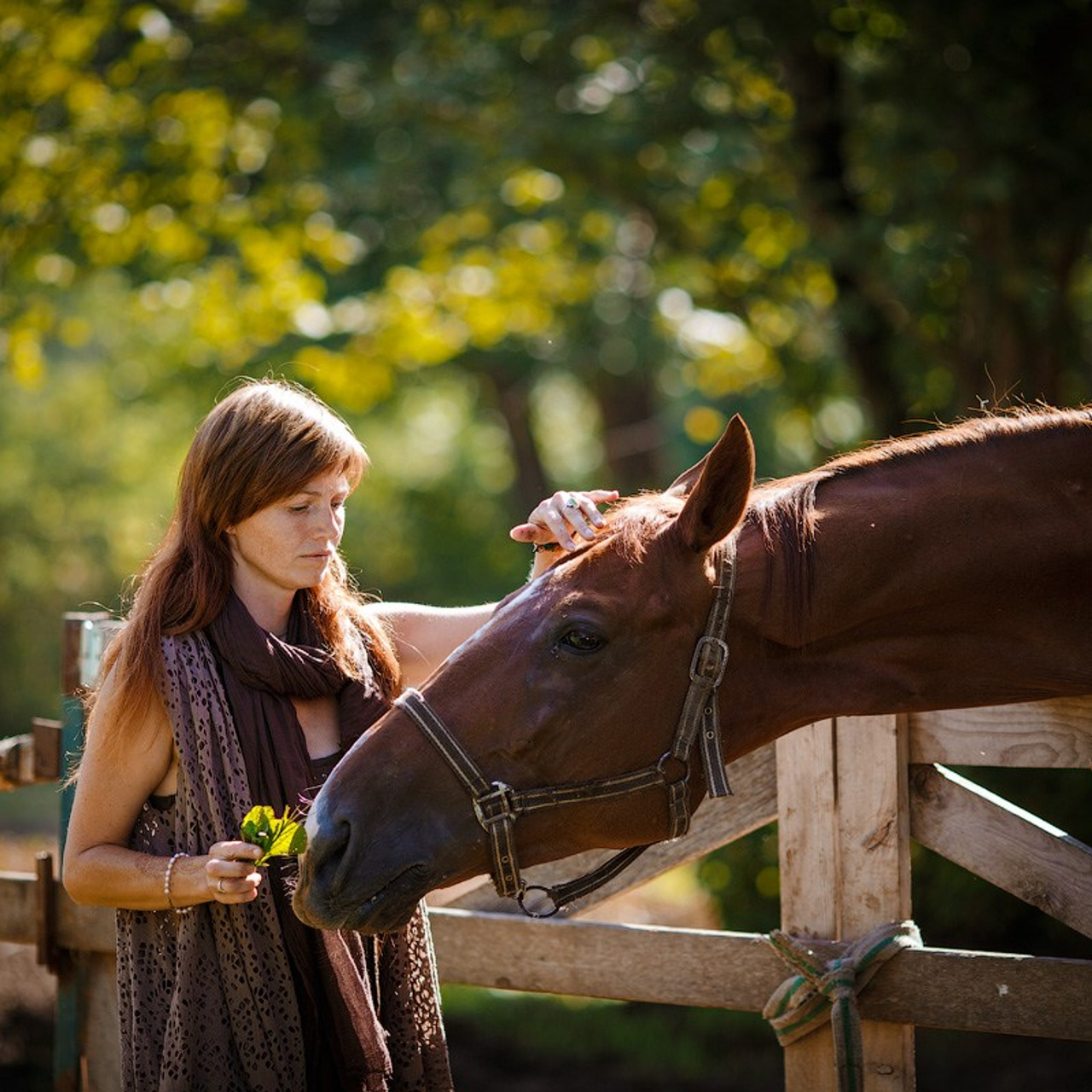 C лошадками 2019