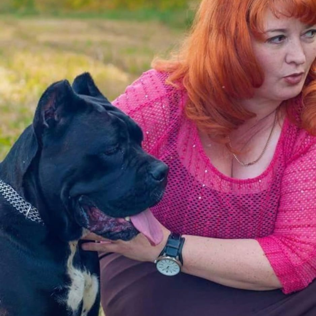 Фото галлерея американских булли. ПИТОМНИК СОБАК ПОРОДЫ АМЕРИКАНСКИЙ БУЛЛИ