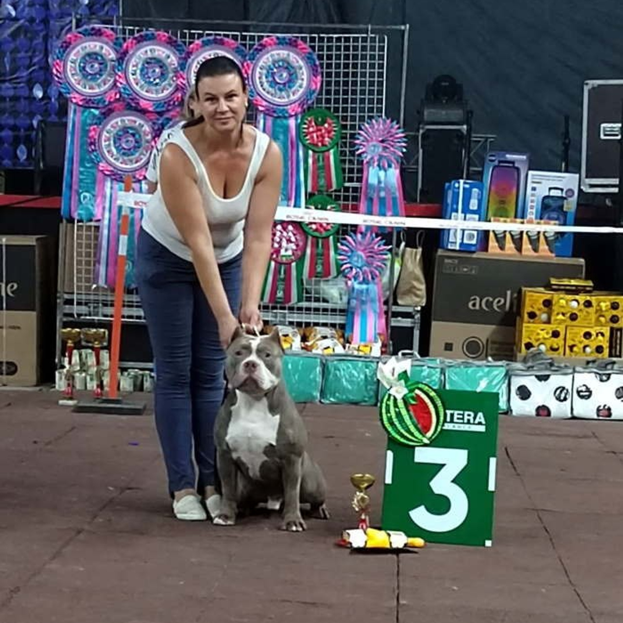 Фото галлерея американских булли. ПИТОМНИК СОБАК ПОРОДЫ АМЕРИКАНСКИЙ БУЛЛИ