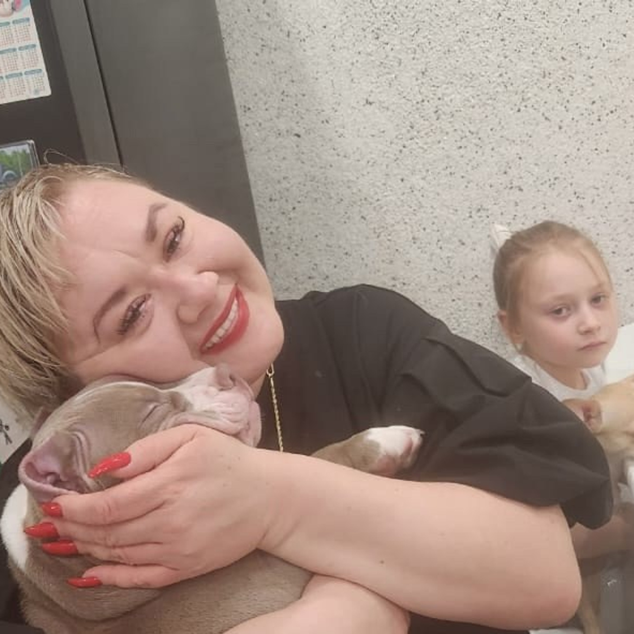 Фото галлерея американских булли. ПИТОМНИК СОБАК ПОРОДЫ АМЕРИКАНСКИЙ БУЛЛИ