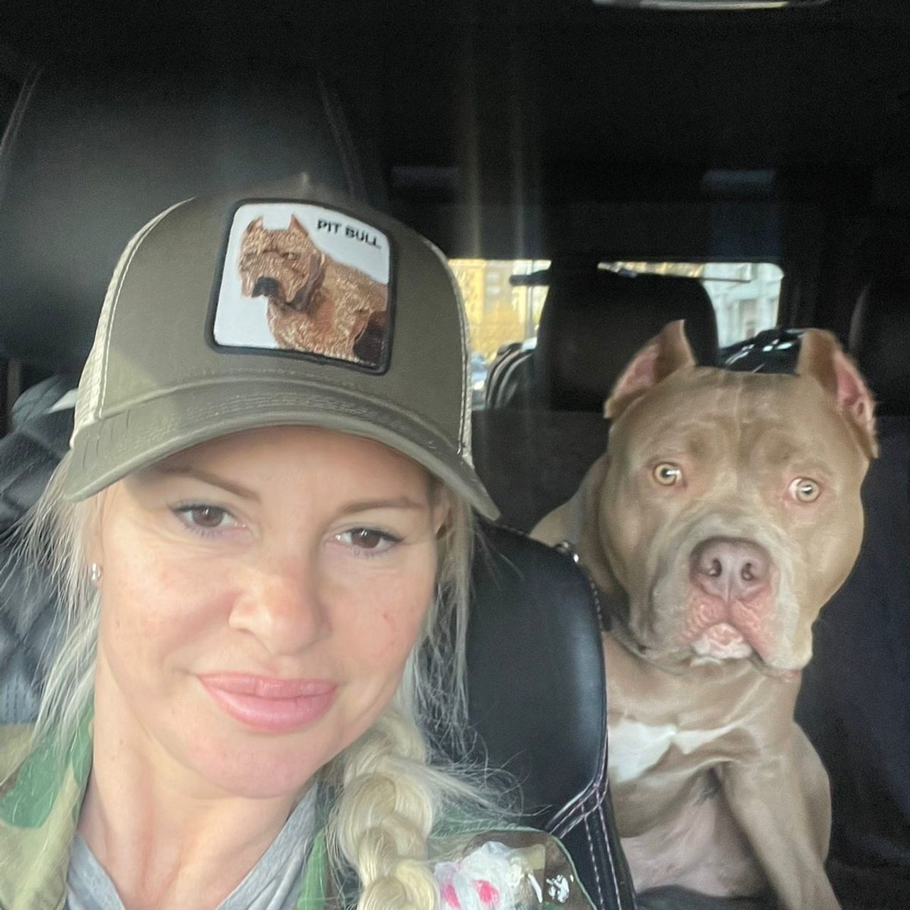 Фото галлерея американских булли. ПИТОМНИК СОБАК ПОРОДЫ АМЕРИКАНСКИЙ БУЛЛИ