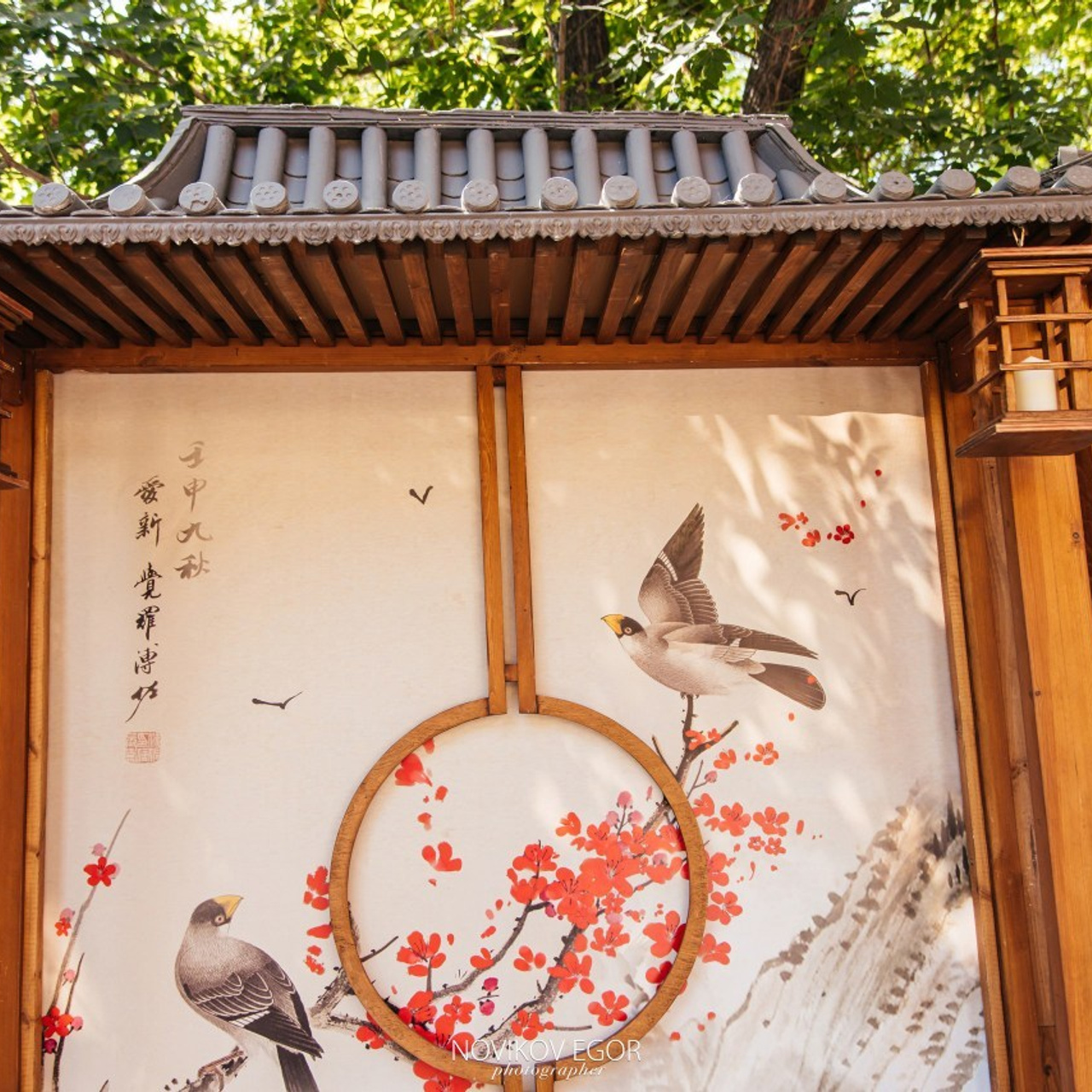 Отзывы. Фотограф Ростов-на-Дону