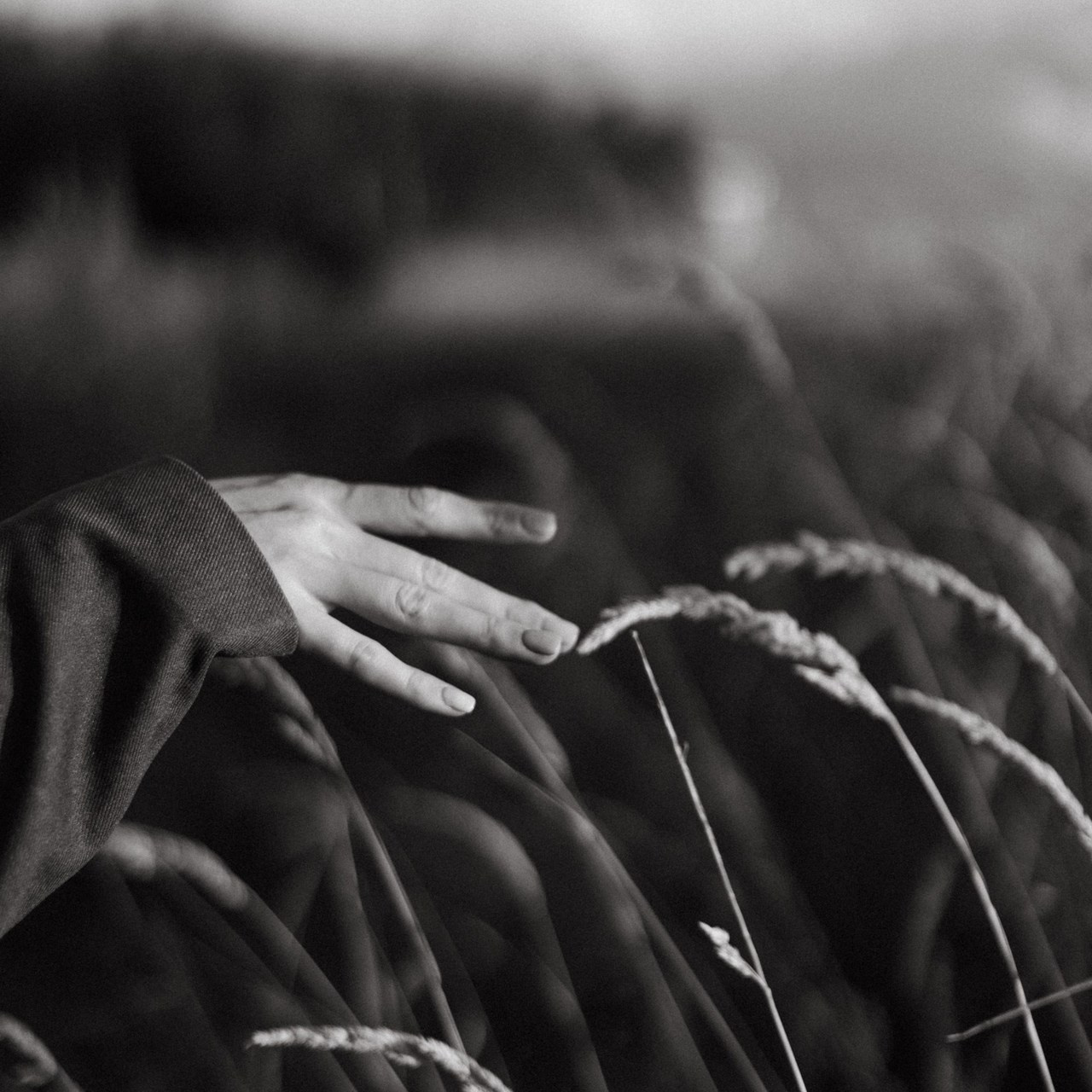 Отзывы. Свадебный и семейный фотограф. Озерск, Челябинск и Екатеринбург