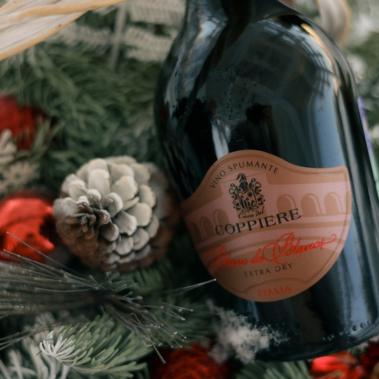 Отзывы. Фотограф НатаФото (Наталья Яковенко) Дмитров Москва Питер