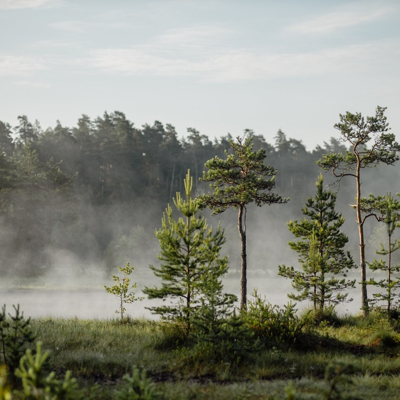 Отзывы. Фотограф Олеся Бакалина