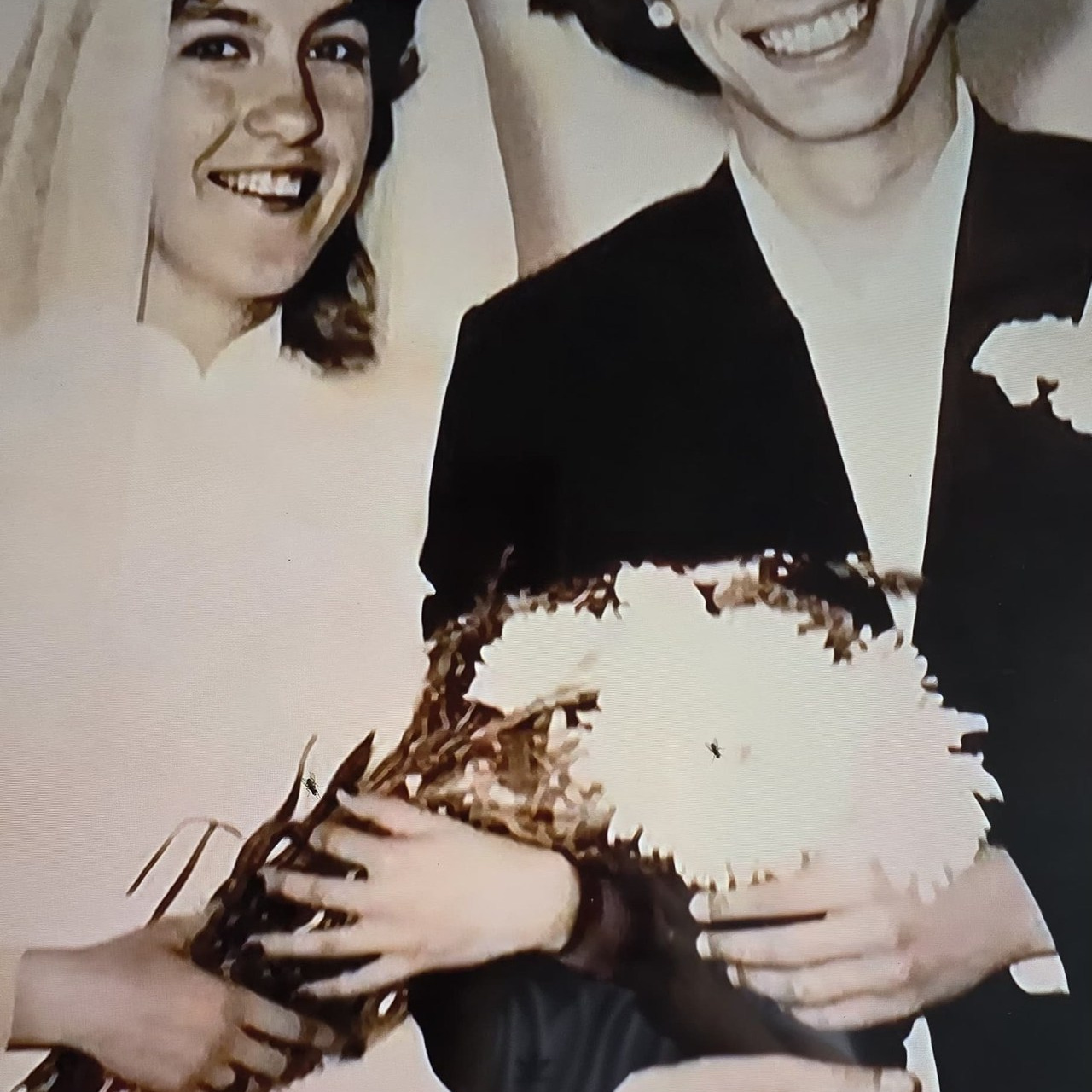 Отзывы. Фотограф Краснодар. Фотограф Анапа. Фотограф Геленджик. Фотограф Абрау-Дюрсо. Фотограф Ирина Колыченкова