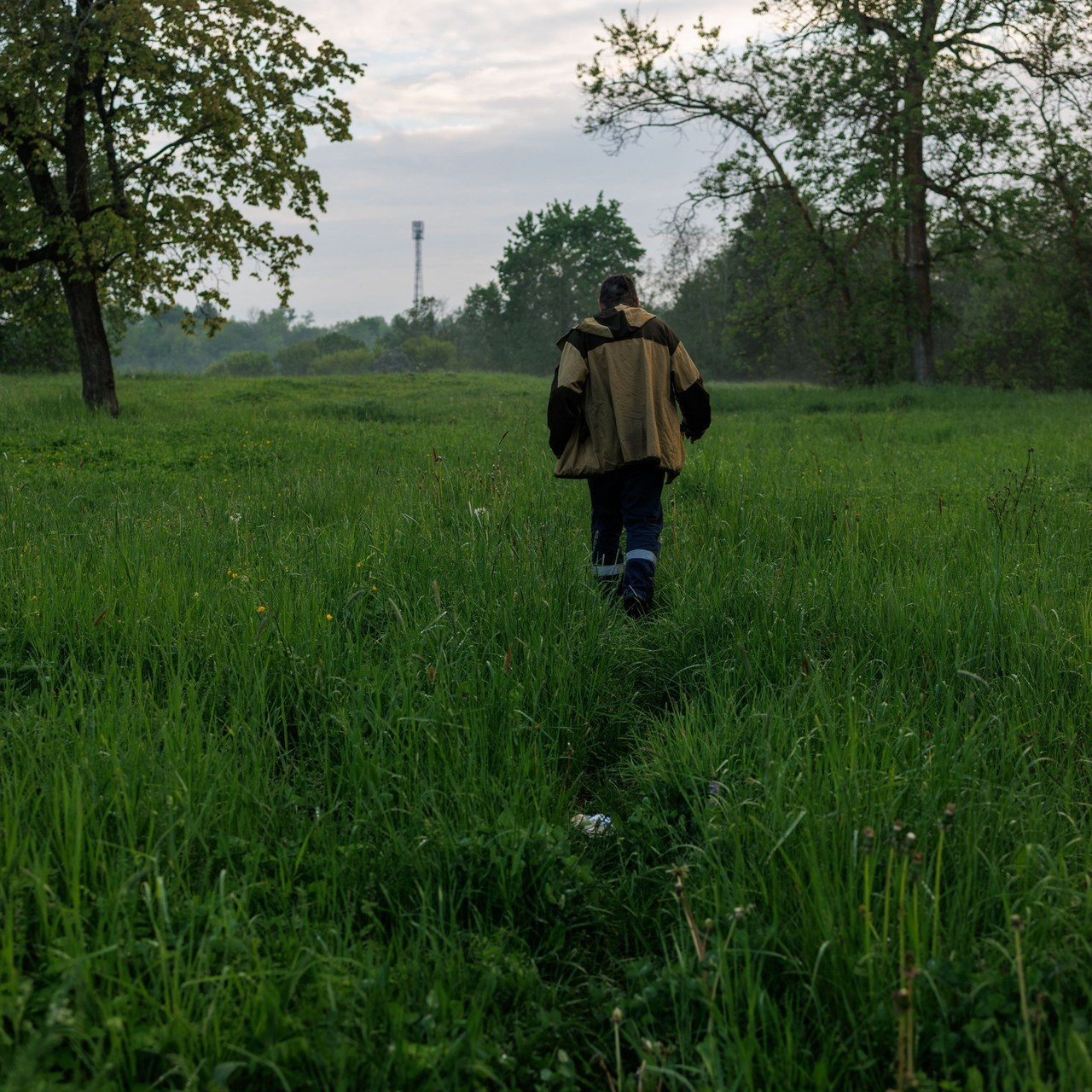 Отзывы. Алексей Лещенко