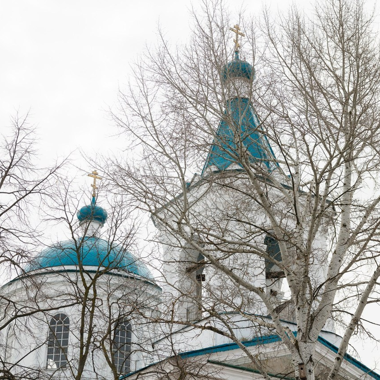 ОТЗЫВЫ. Свадебный фотограф в Ростове-на-Дону Васильченко Сергей