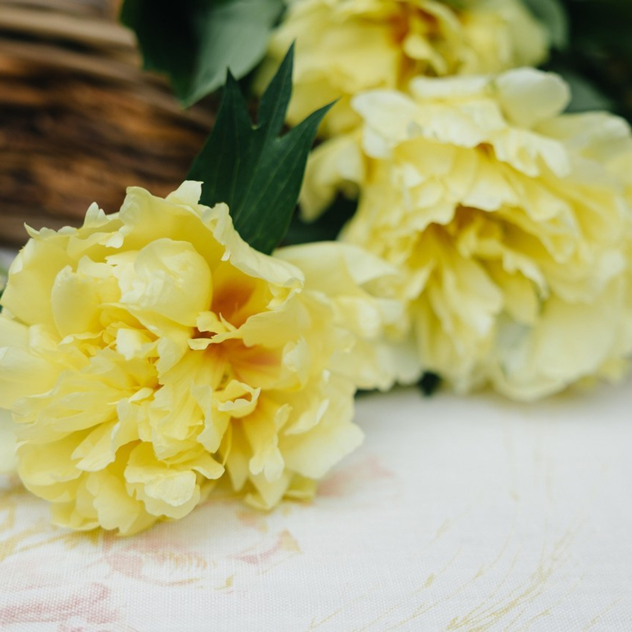 ОТЗЫВЫ. Свадебный фотограф в Ростове-на-Дону Васильченко Сергей