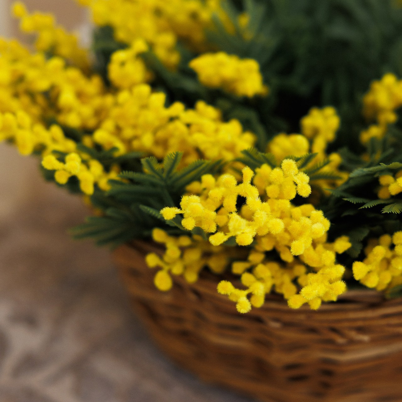 ОТЗЫВЫ. Свадебный фотограф Васильченко Сергей