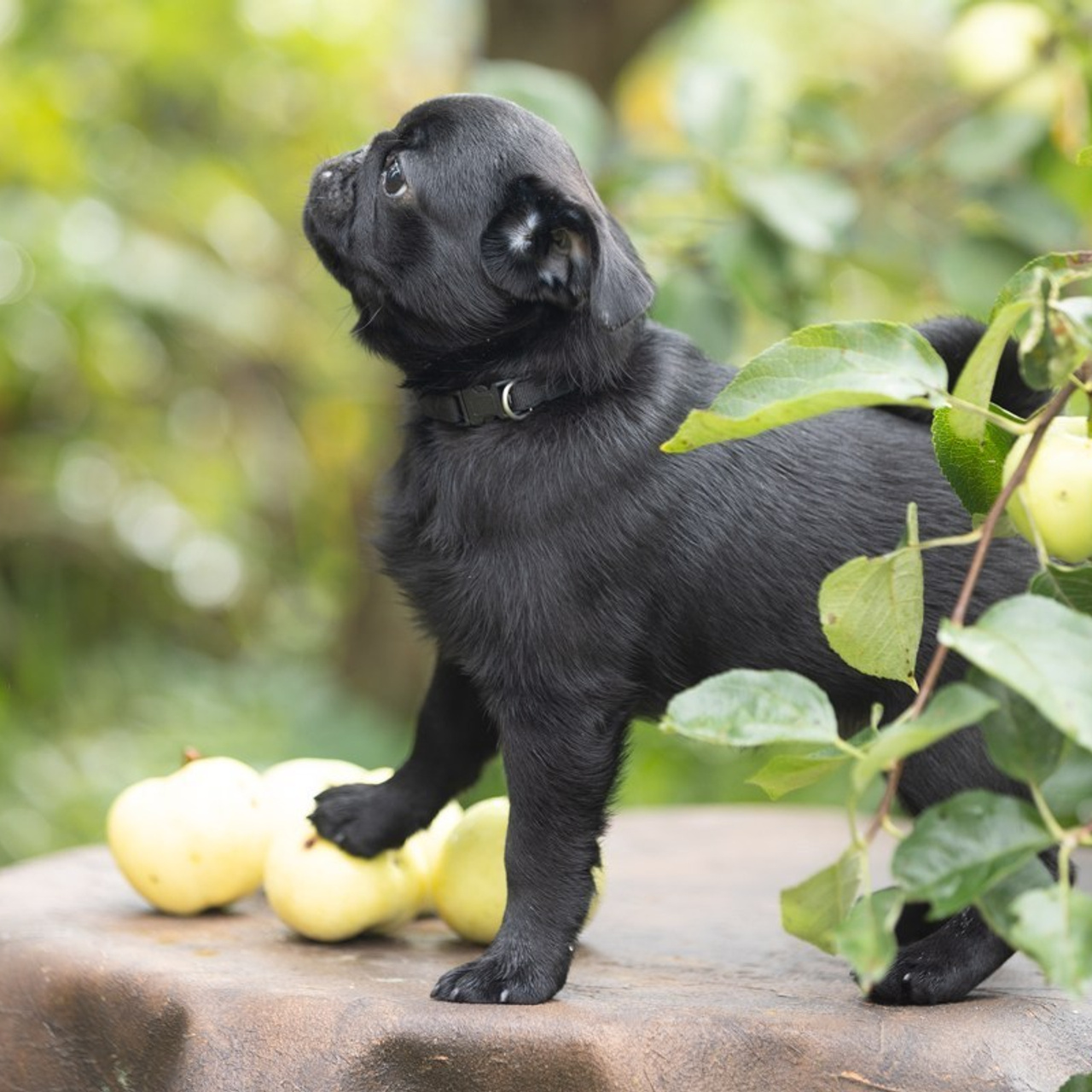 Отзывы. Фотограф Алена Звездина
